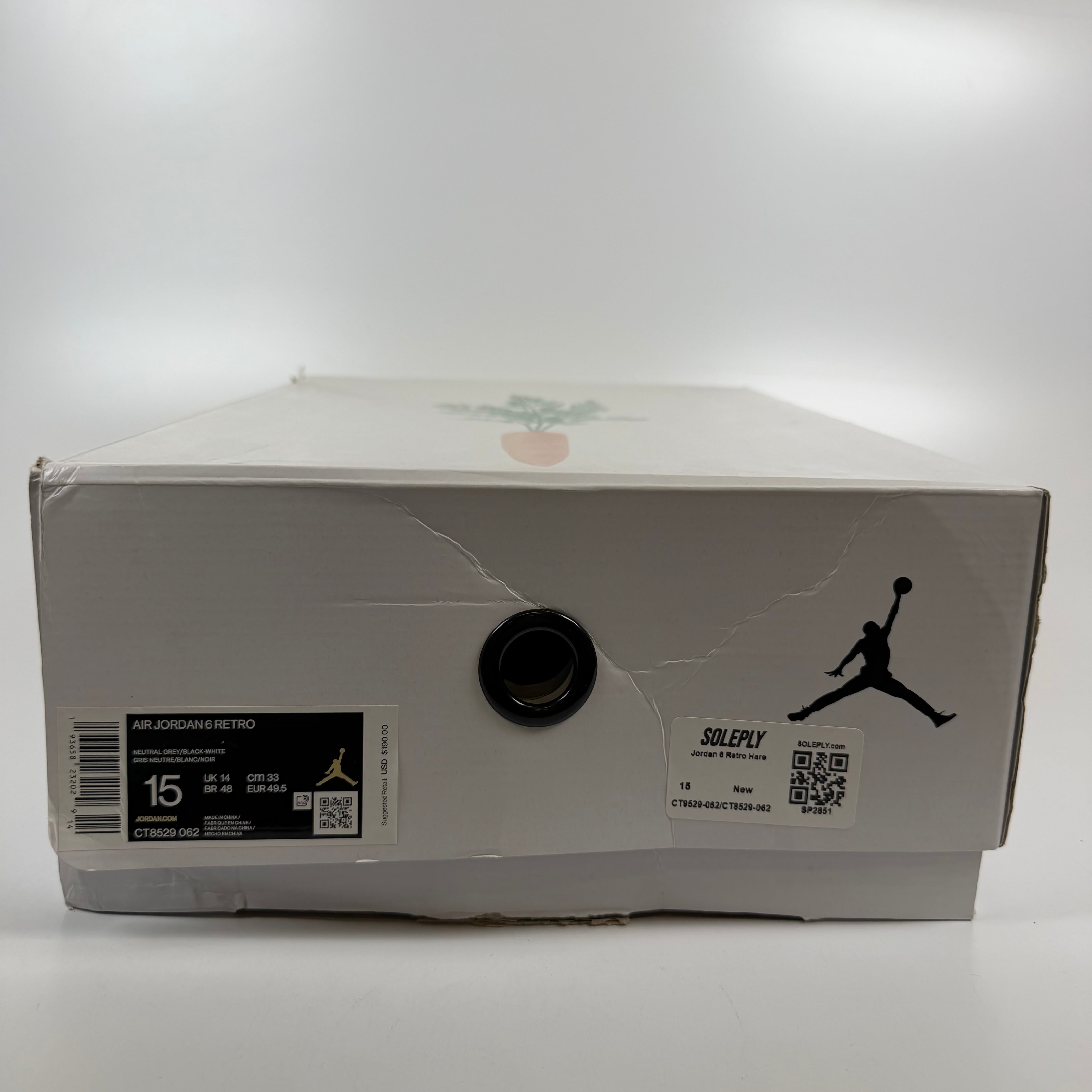 SP2851 Jordan 6 Retro Hare