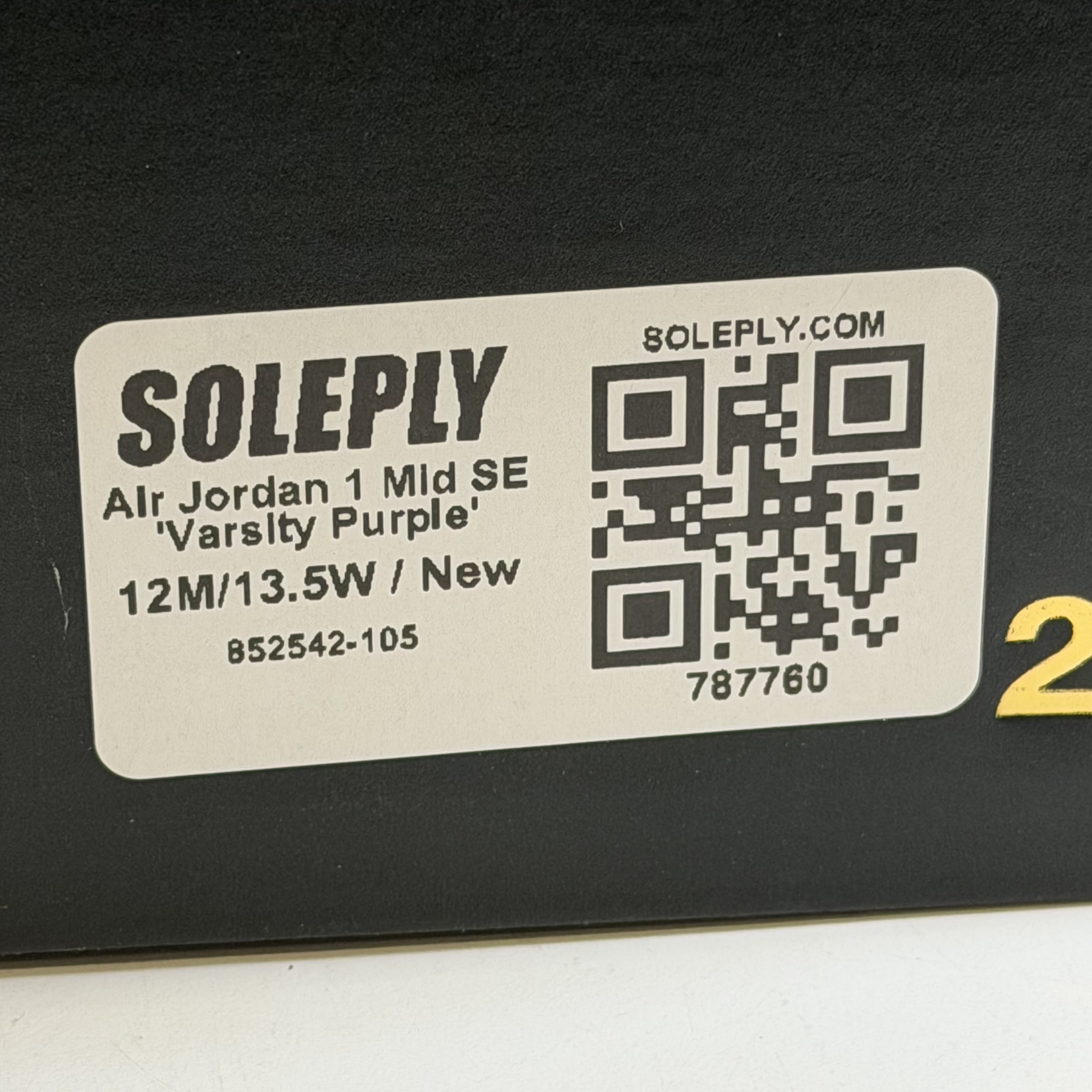 787760 Air Jordan 1 Mid SE 'Varsity Purple'
