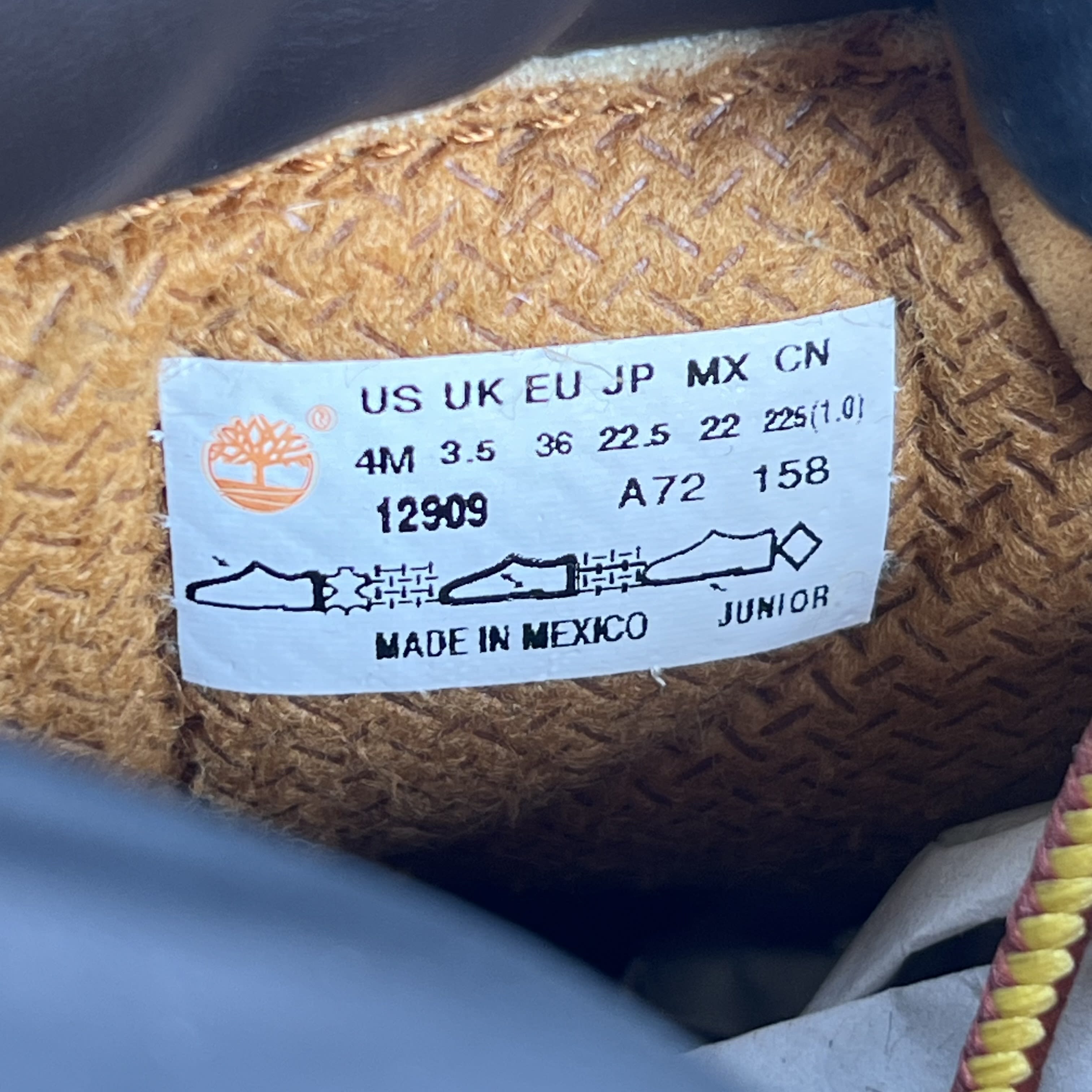 SP3896 Timberland 6" Boot Wheat (GS)