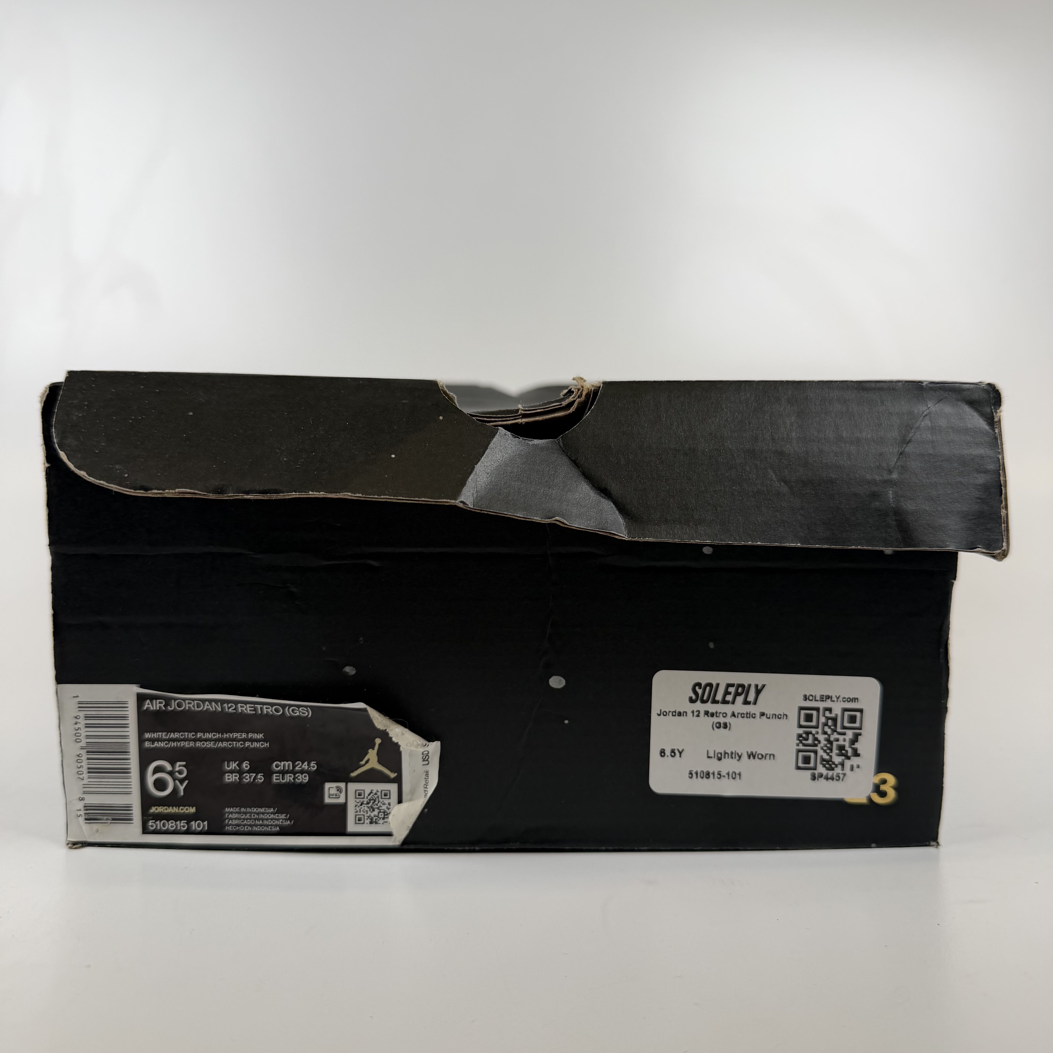 SP4457 Jordan 12 Retro Arctic Punch (GS)