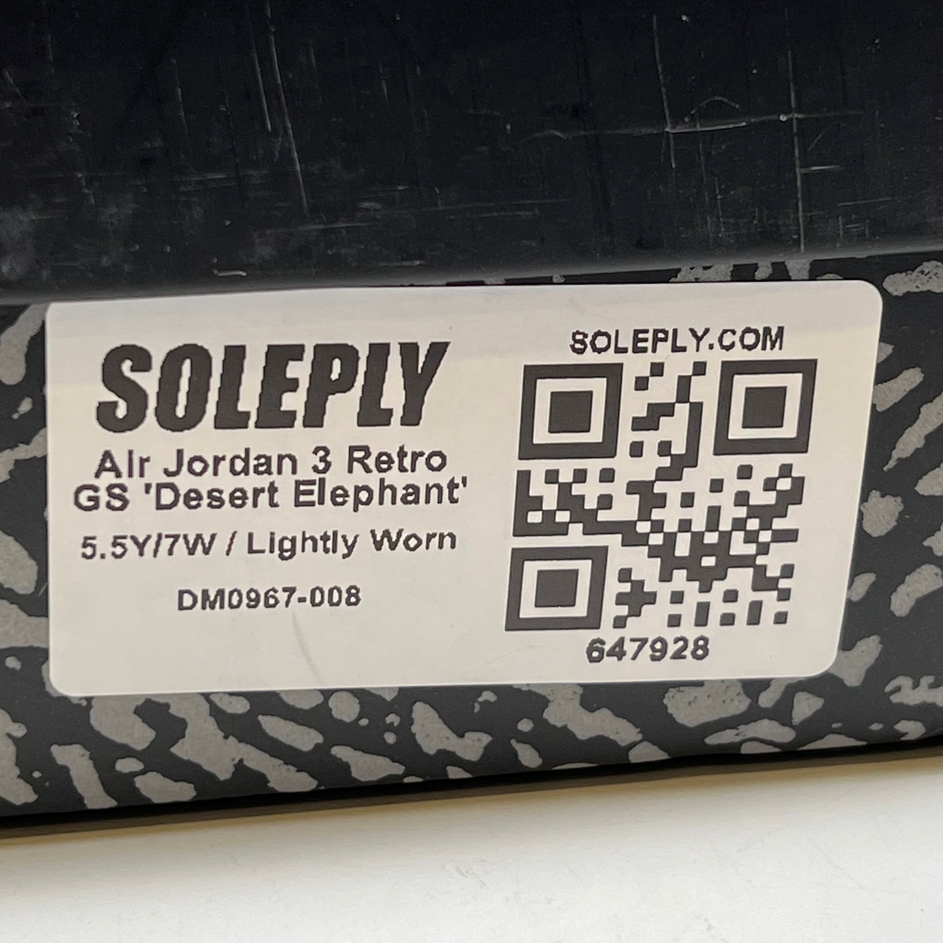 647928 Air Jordan 3 Retro GS 'Desert Elephant'