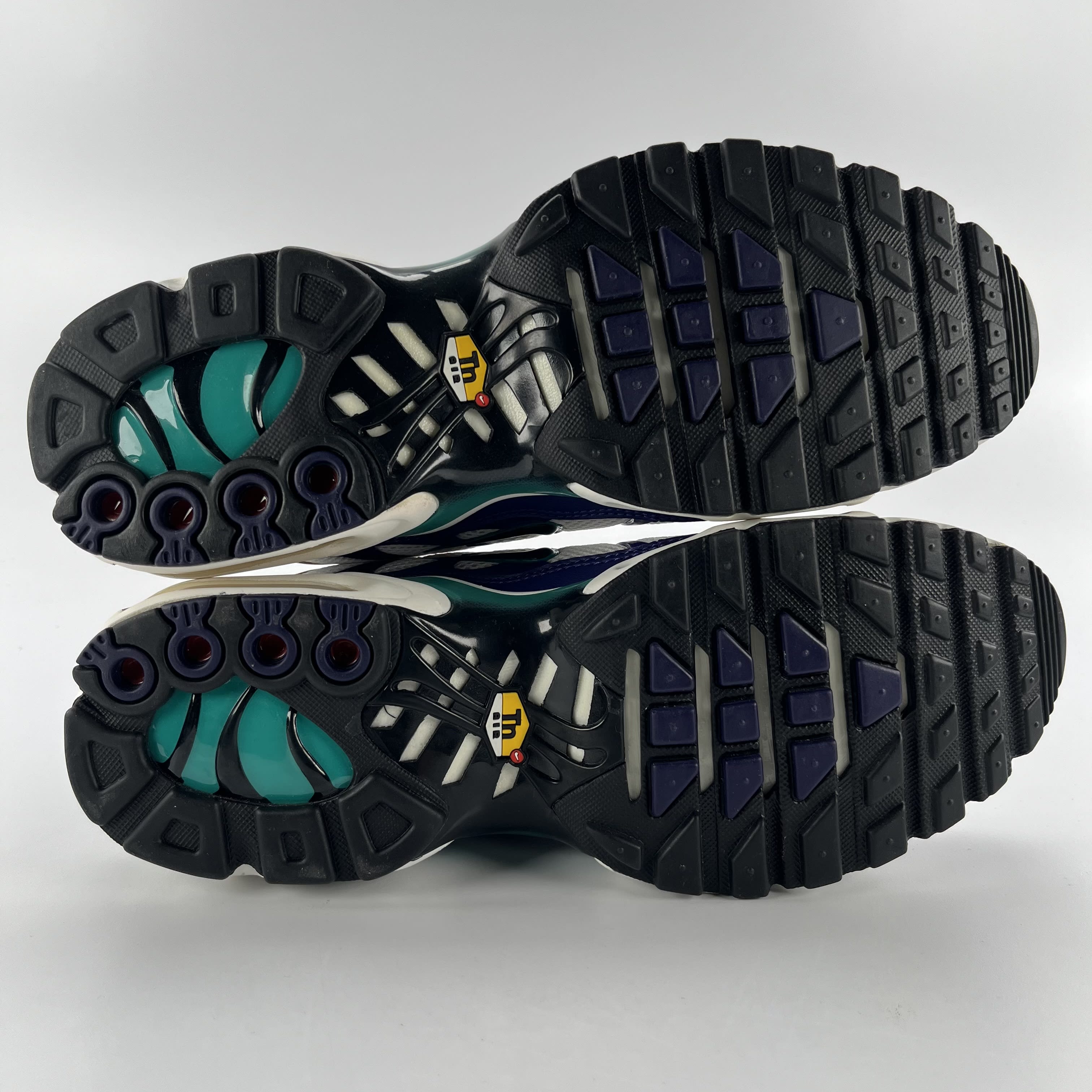 Nike Air Max Plus White Grape Ice