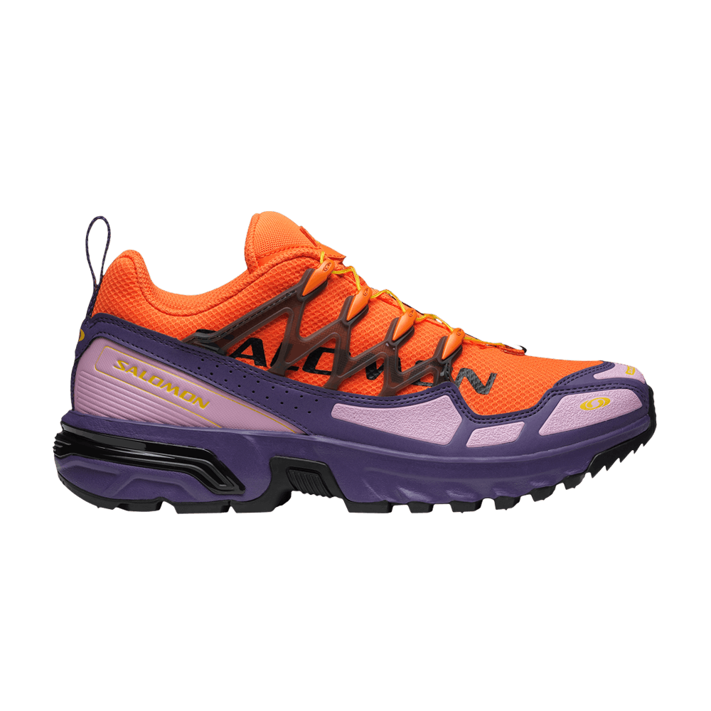 SP9675 Salomon ACS+ OG 'Heritage Pack - Purple Reign'
