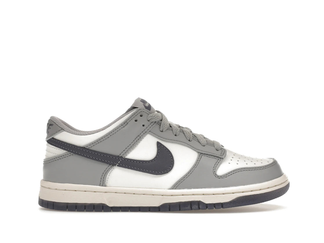 268075 Nike Dunk Low Platinum Tint Light Carbon (GS)