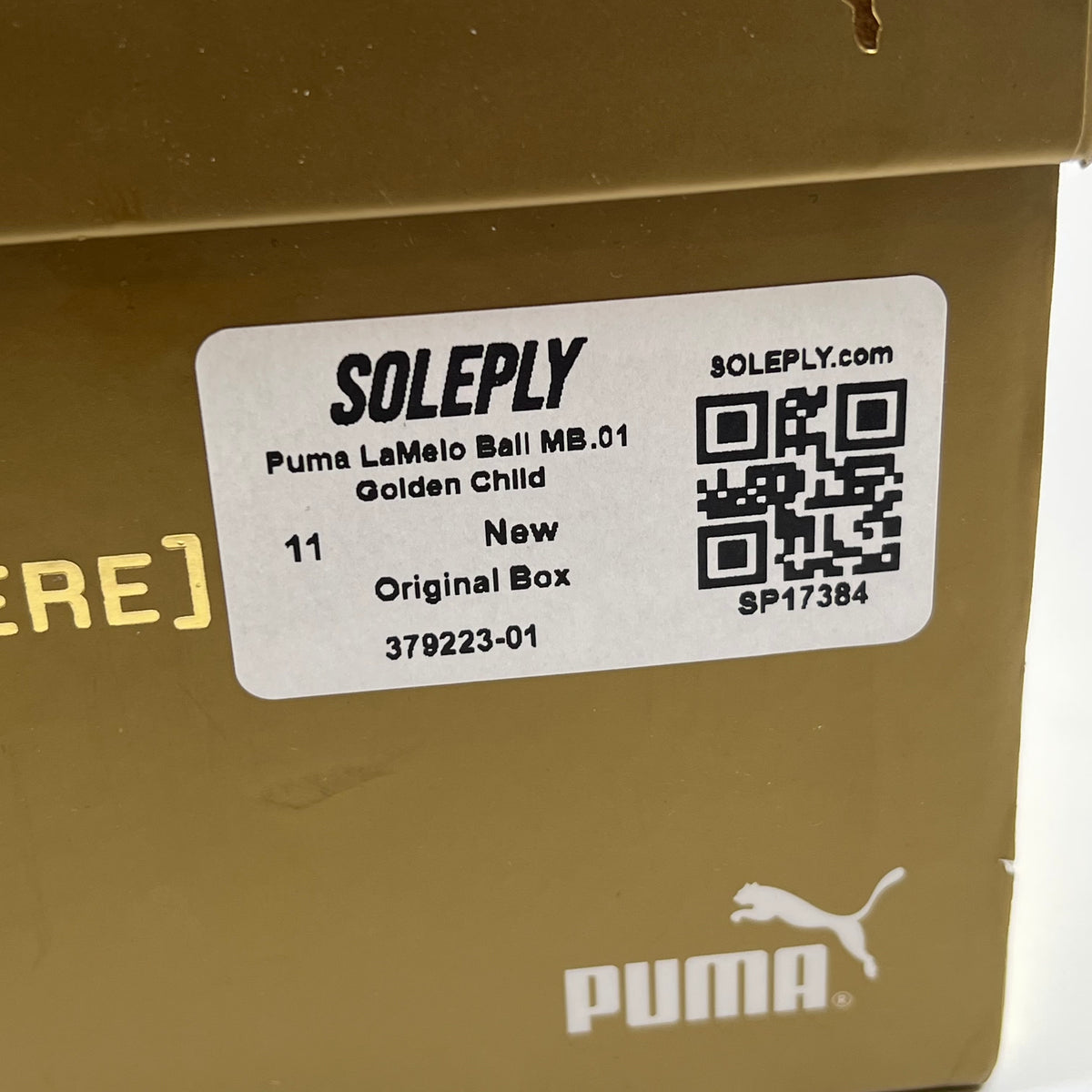 https://res.cloudinary.com/dlqdbsx2k/image/upload/v1787841233/blob_bfcggl.jpg