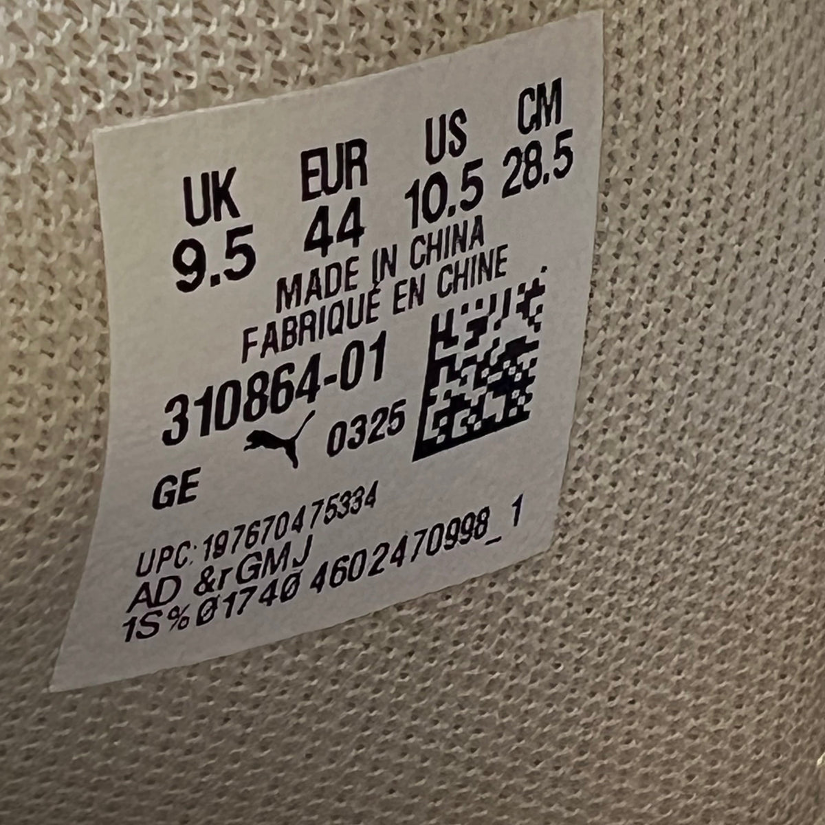 https://res.cloudinary.com/dlqdbsx2k/image/upload/v1791386035/blob_fq9wiz.jpg