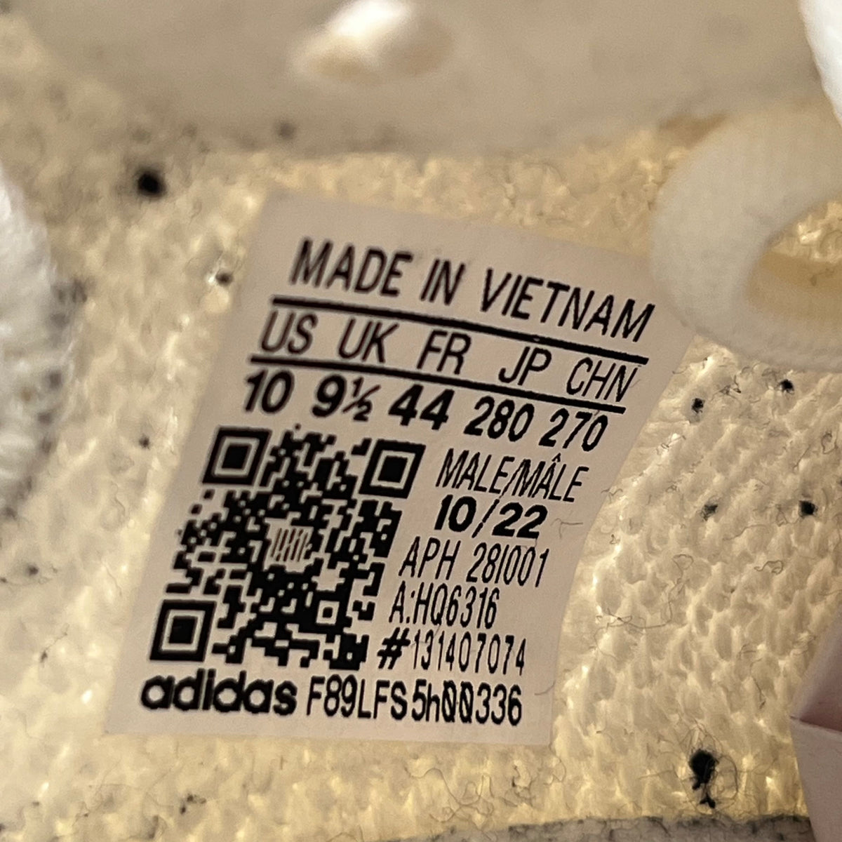 https://res.cloudinary.com/dlqdbsx2k/image/upload/v1790191212/blob_fwefax.jpg