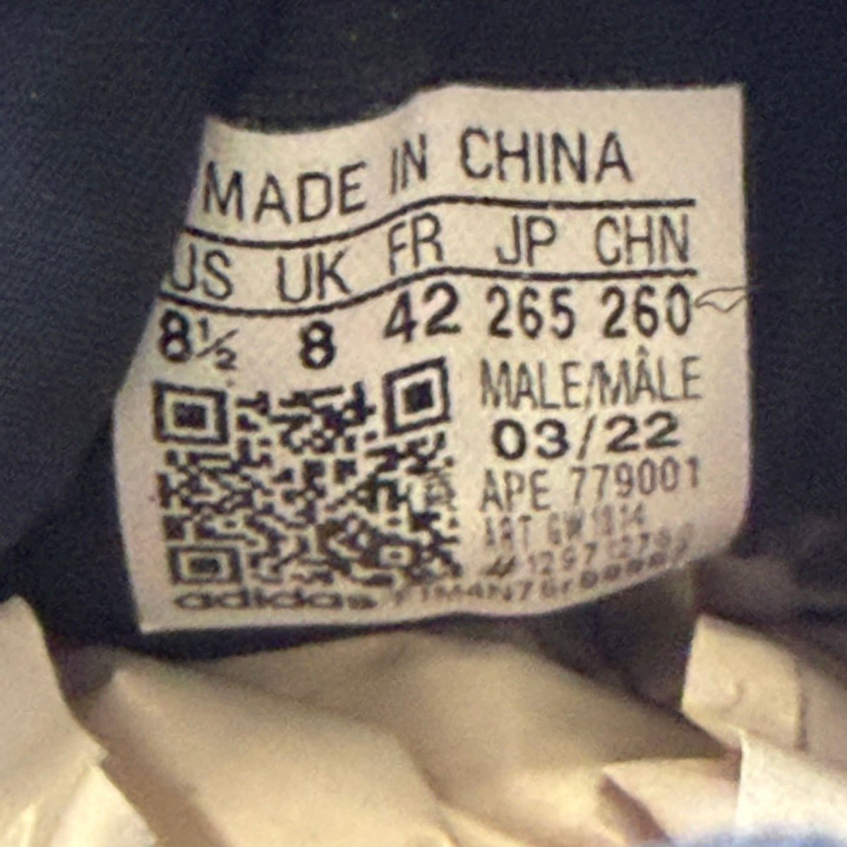https://res.cloudinary.com/dlqdbsx2k/image/upload/v1789656916/blob_gontge.jpg