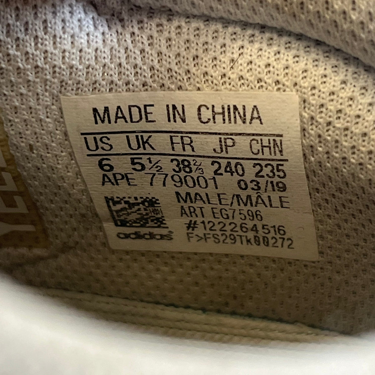 https://res.cloudinary.com/dlqdbsx2k/image/upload/v1786744878/blob_ibdhr6.jpg