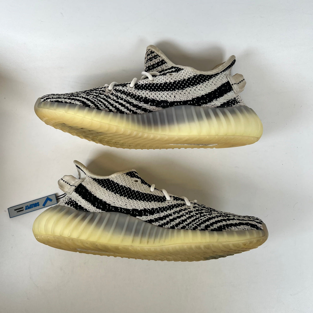 https://res.cloudinary.com/dlqdbsx2k/image/upload/v1786467655/blob_mccgjc.jpg
