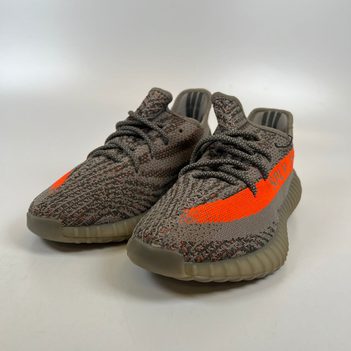 https://res.cloudinary.com/dlqdbsx2k/image/upload/v1790696215/blob_on5dzx.jpg