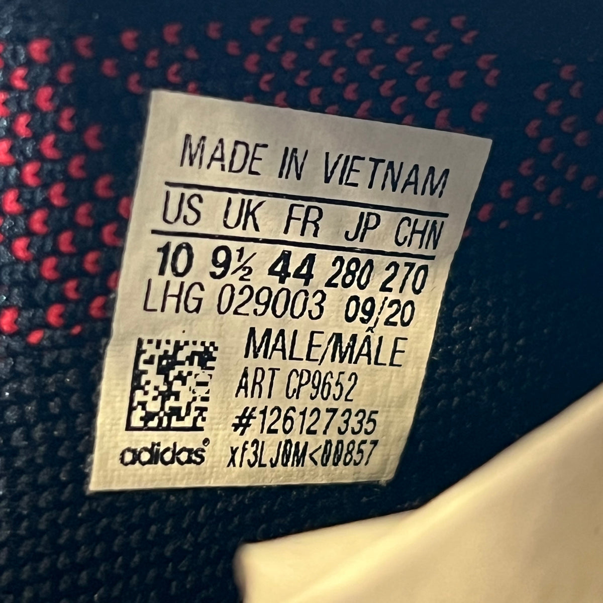 https://res.cloudinary.com/dlqdbsx2k/image/upload/v1790624825/blob_rqlwng.jpg