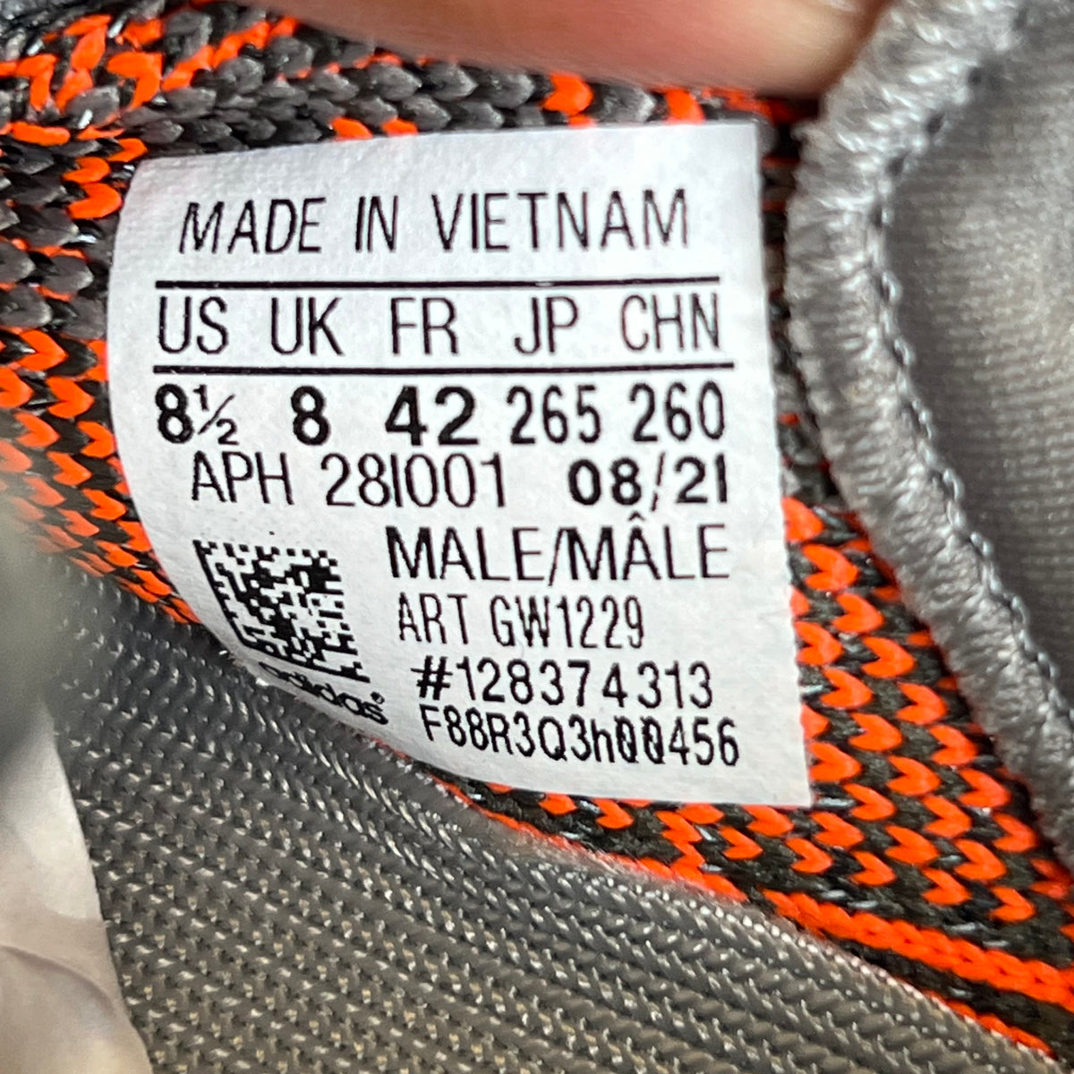https://res.cloudinary.com/dlqdbsx2k/image/upload/v1790625187/blob_vngp7e.jpg