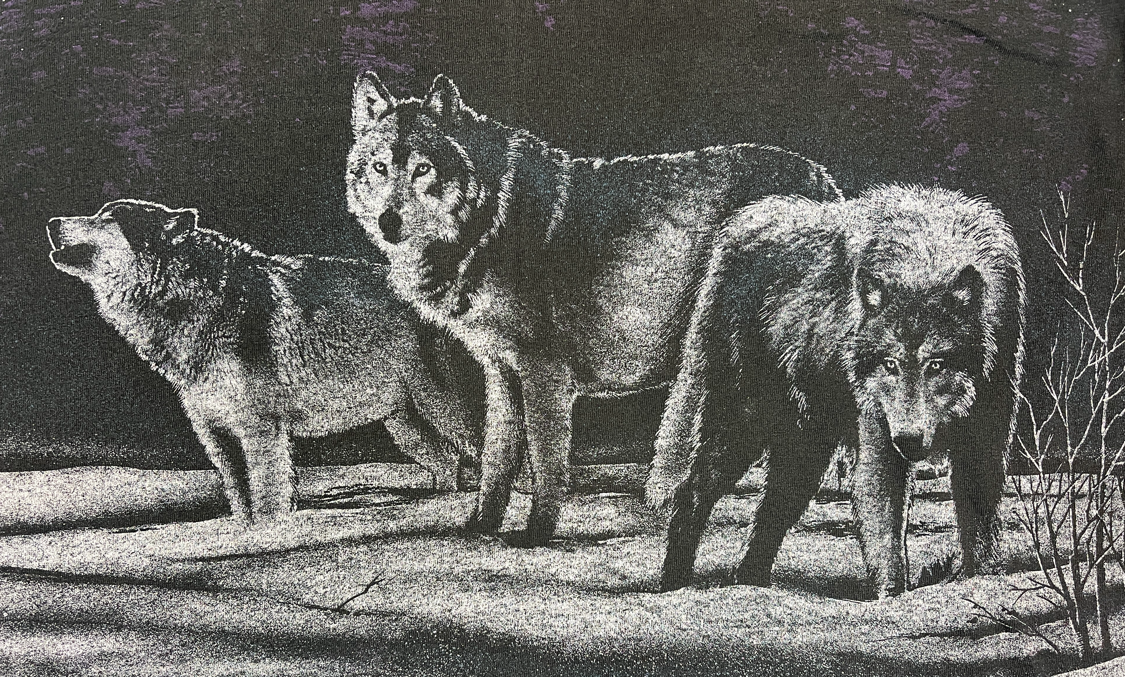 375196 (1991) Wolf Pack Night Scene All Over Print Nature T-Shirt