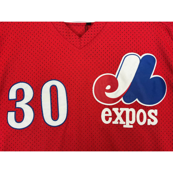 (modern) Montreal Expos Mitchell & Ness Pullover Tim Raines Jersey