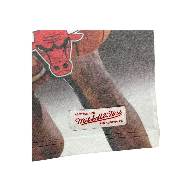 (modern) Scottie Pippen Mitchell & Ness Bulls Big Print Tank Top
