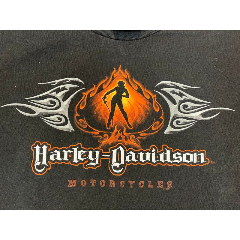 (2011) Harley Davidson Motorcycles Daytona Beach T-Shirt