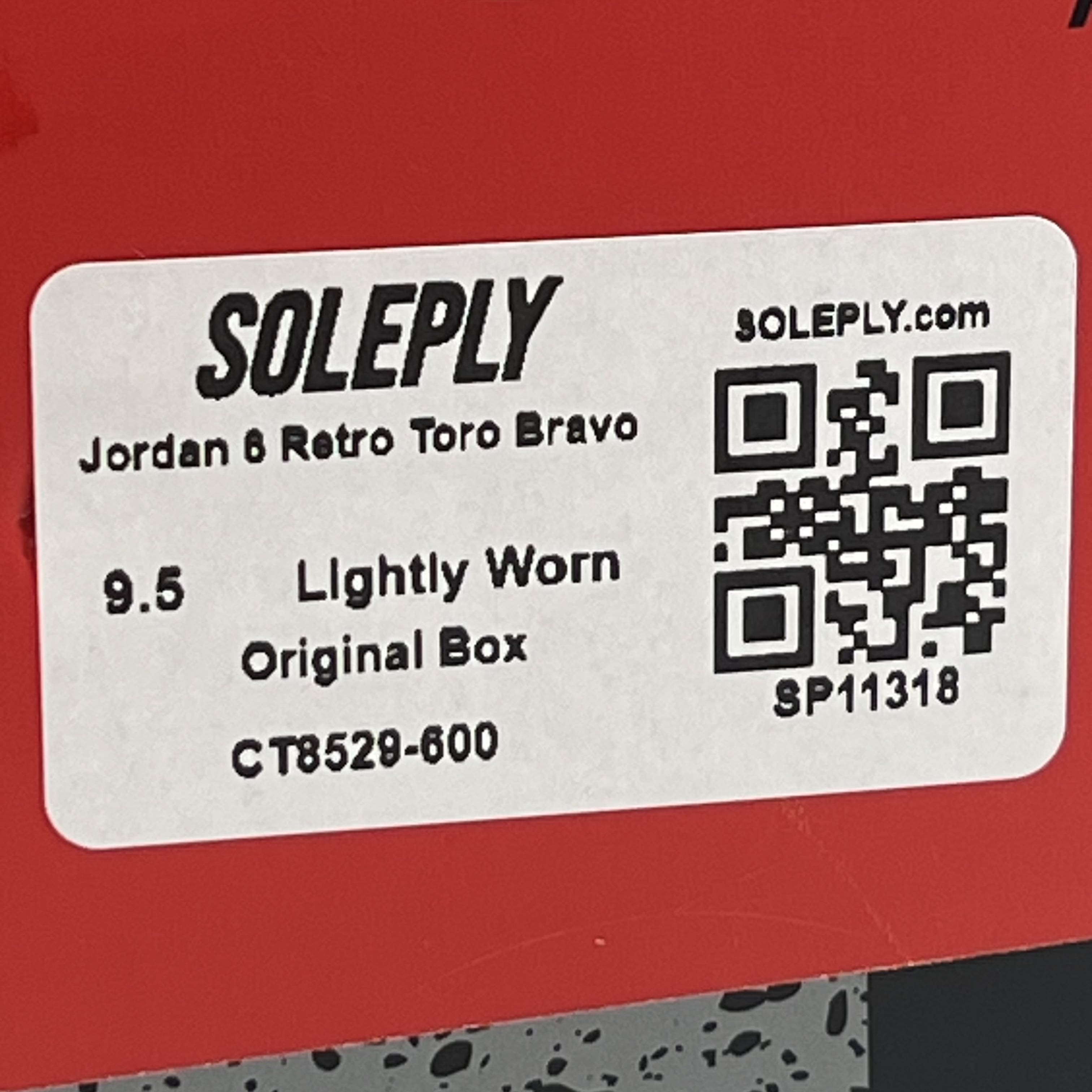 SP11318 Jordan 6 Retro Toro Bravo