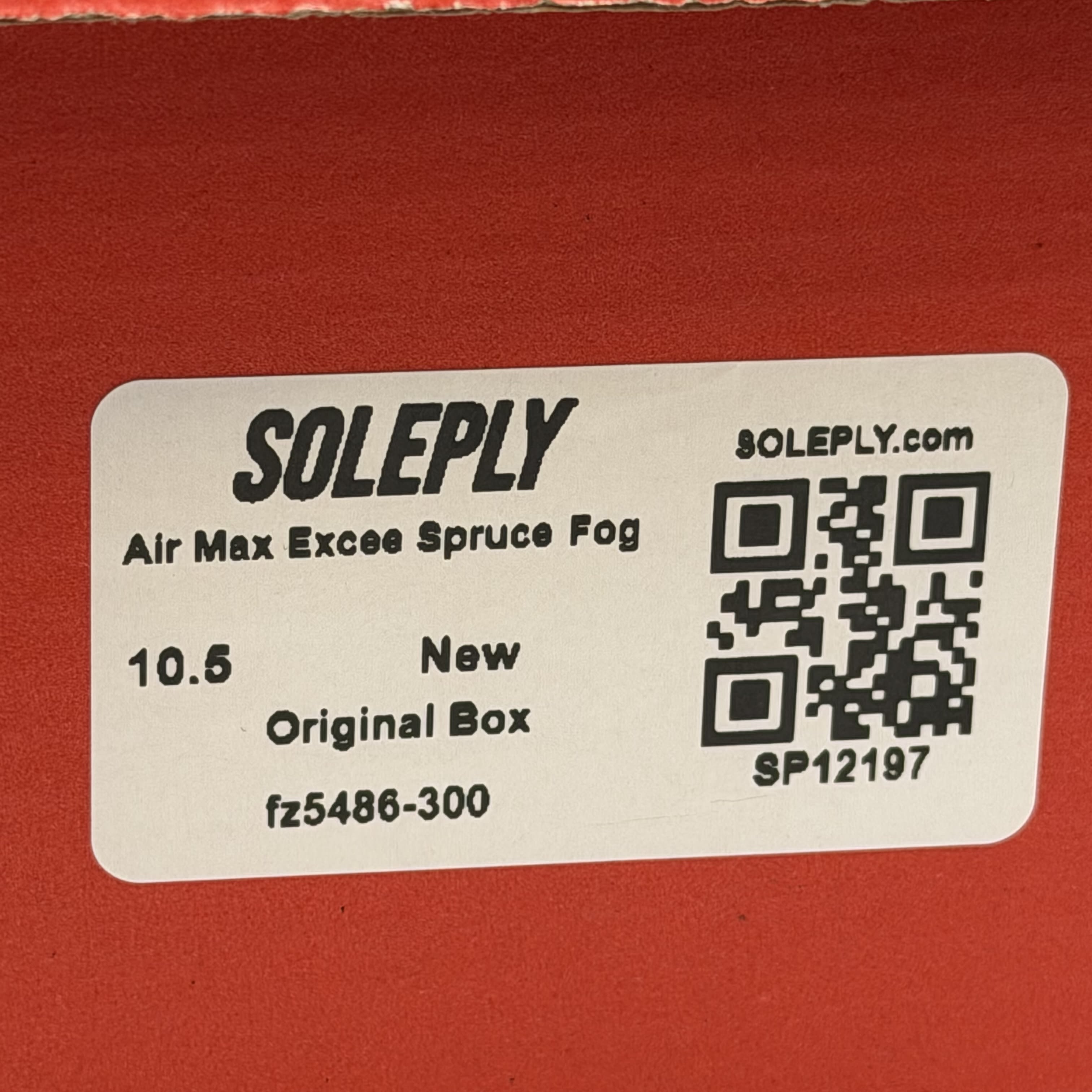 SP12197 Air Max Excee Spruce Fog