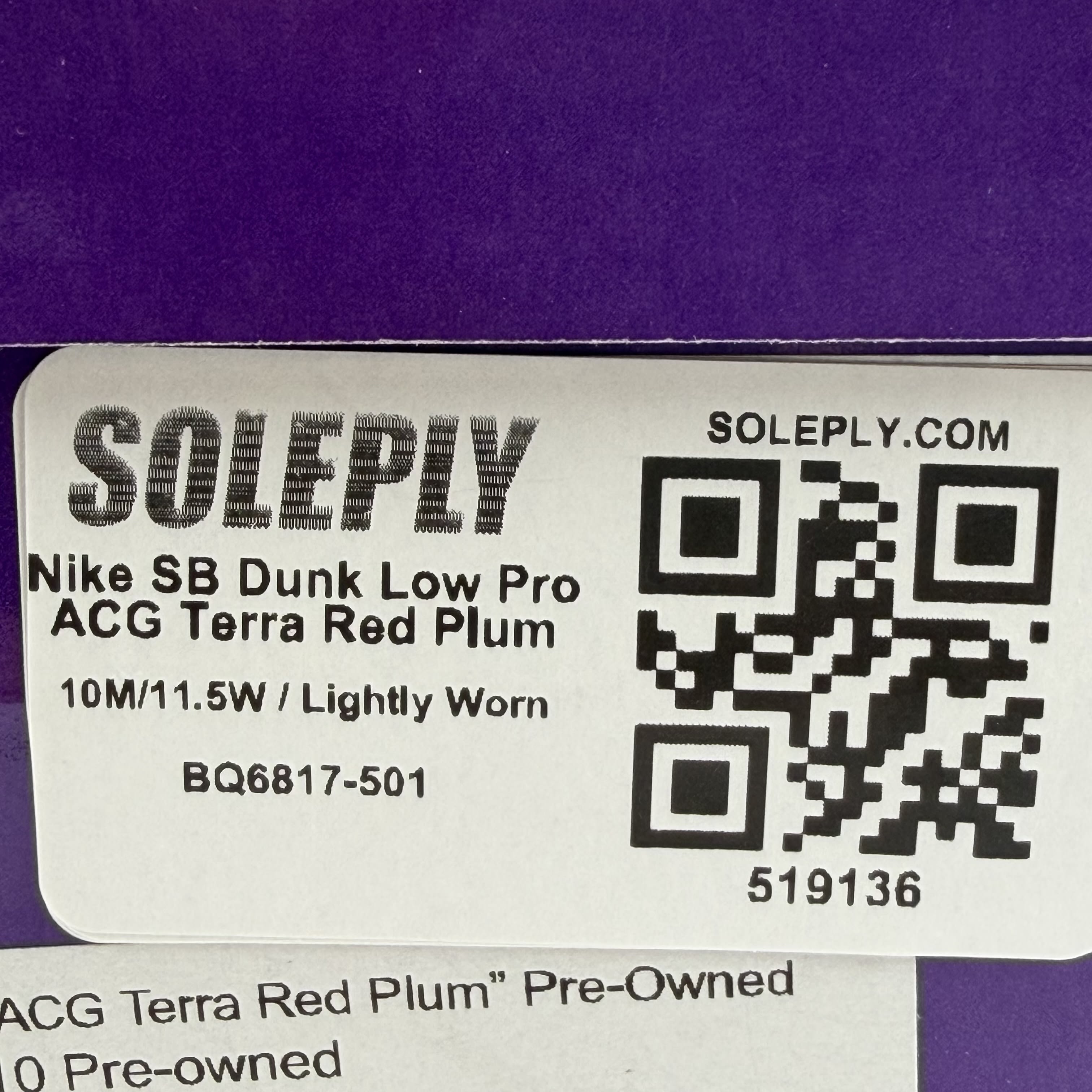 519136 Nike SB Dunk Low Pro ACG Terra Red Plum
