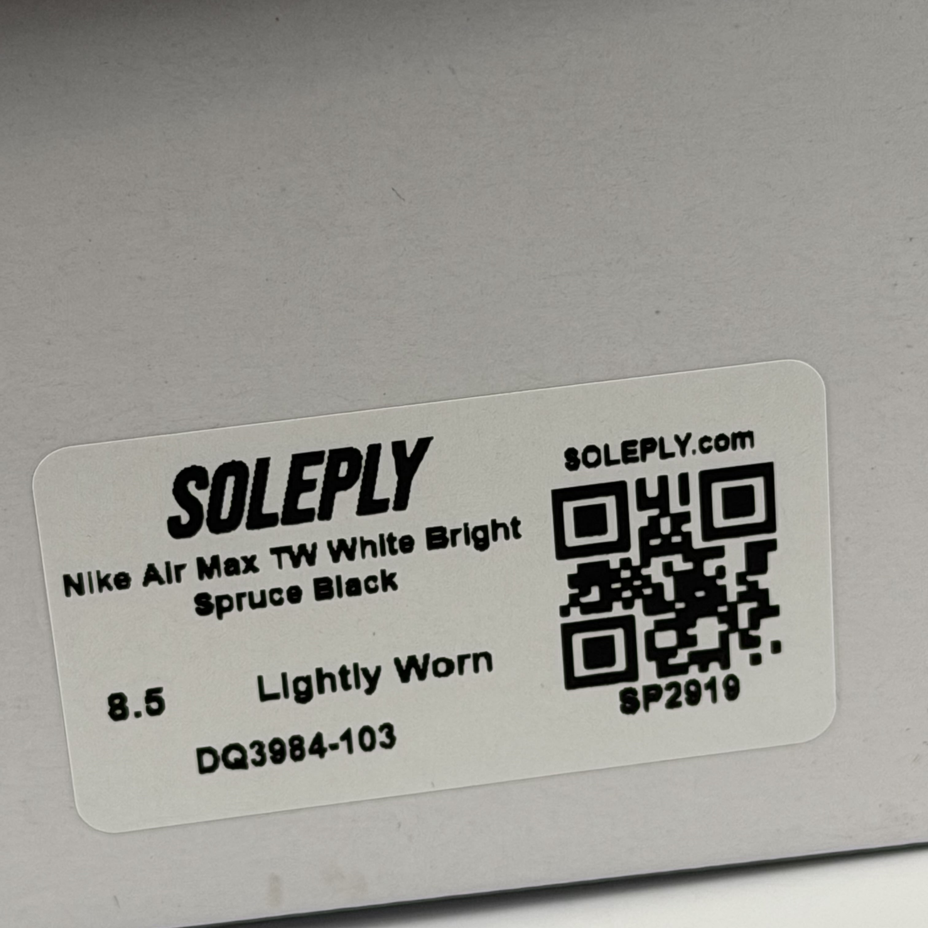 SP2919 Nike Air Max TW White Bright Spruce Black