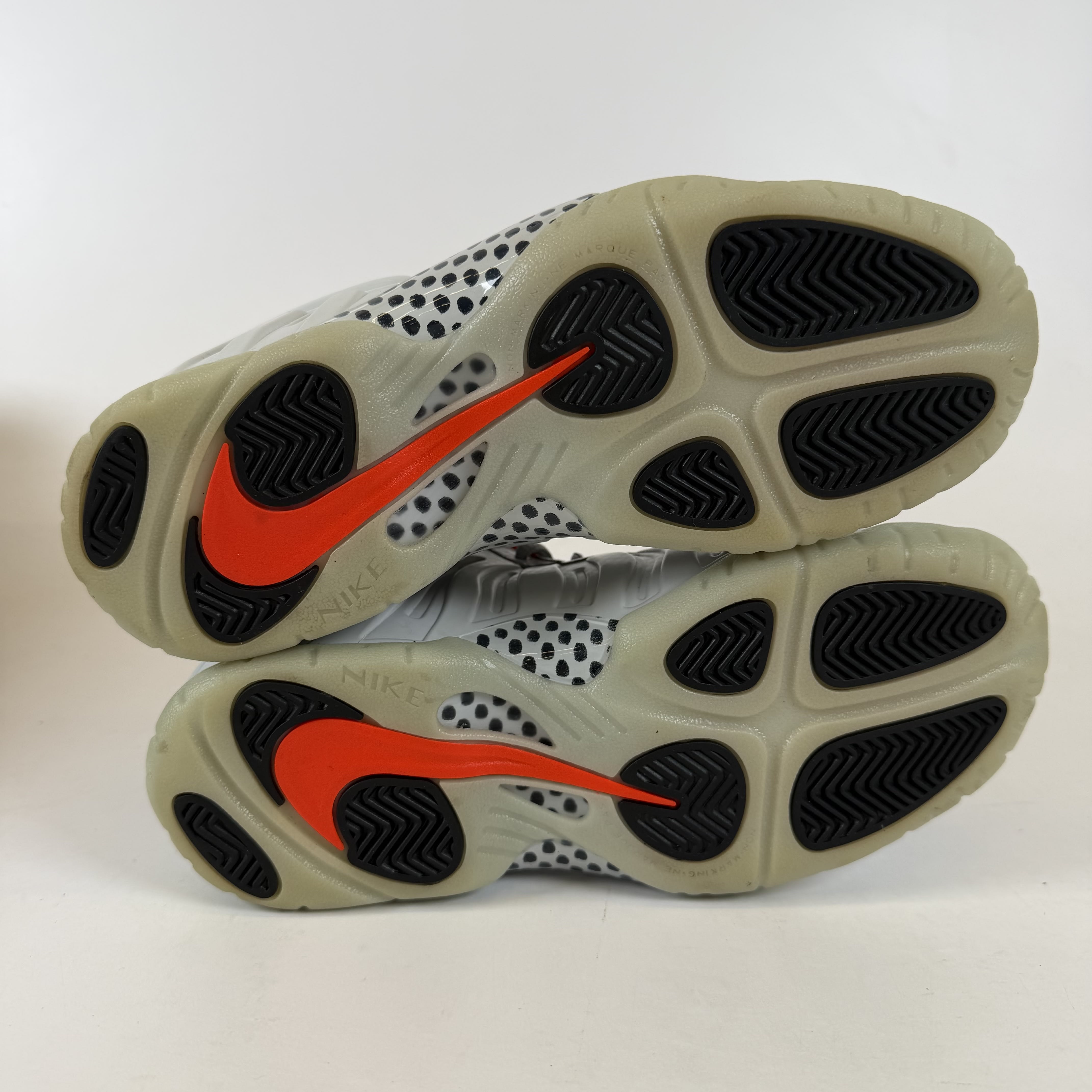 SP6970 Nike Air Foamposite Pro Pure Platinum (GS)