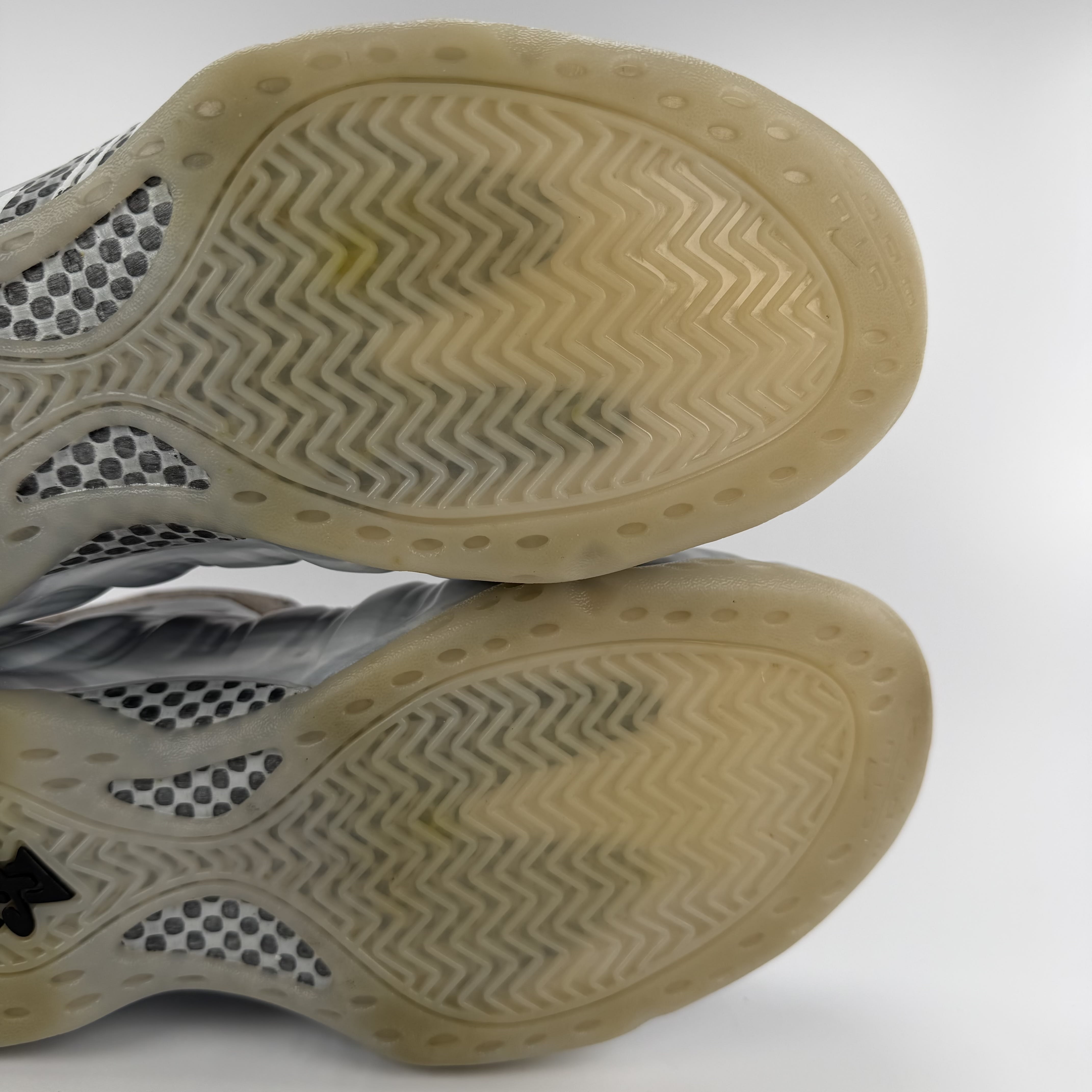 512453 Nike Air Foamposite One Dream A World Grey