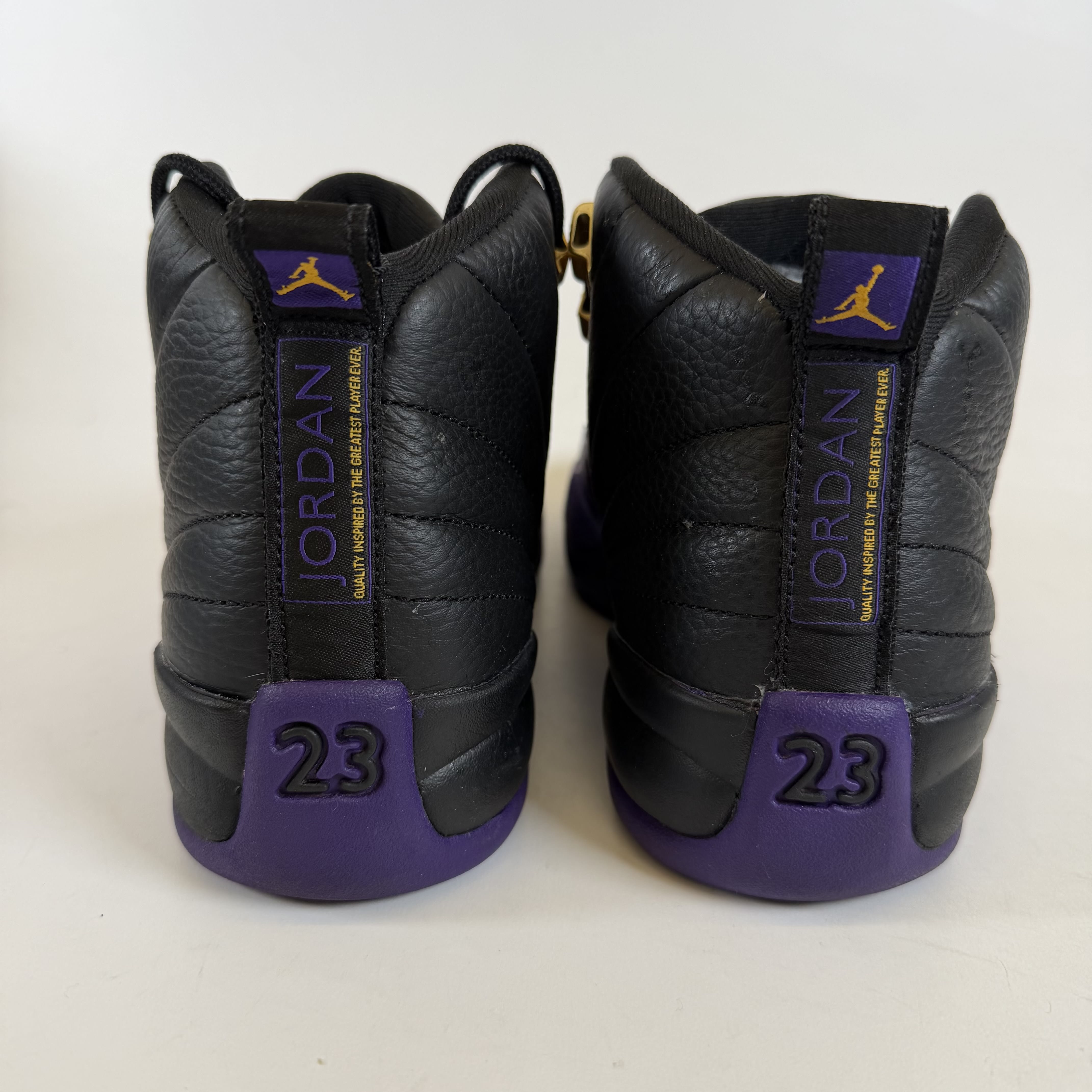 SP6972 Jordan 12 Retro Field Purple (GS)