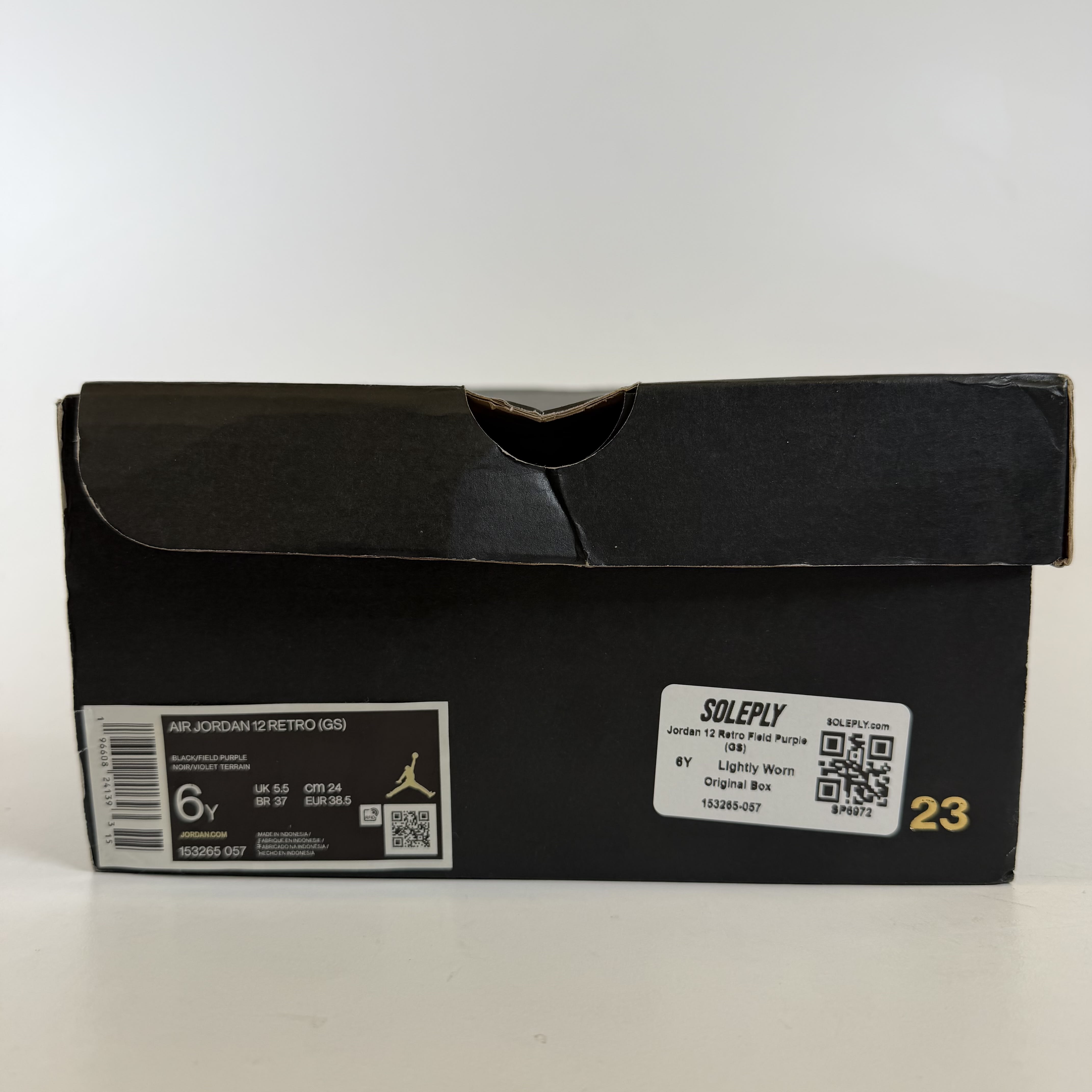SP6972 Jordan 12 Retro Field Purple (GS)