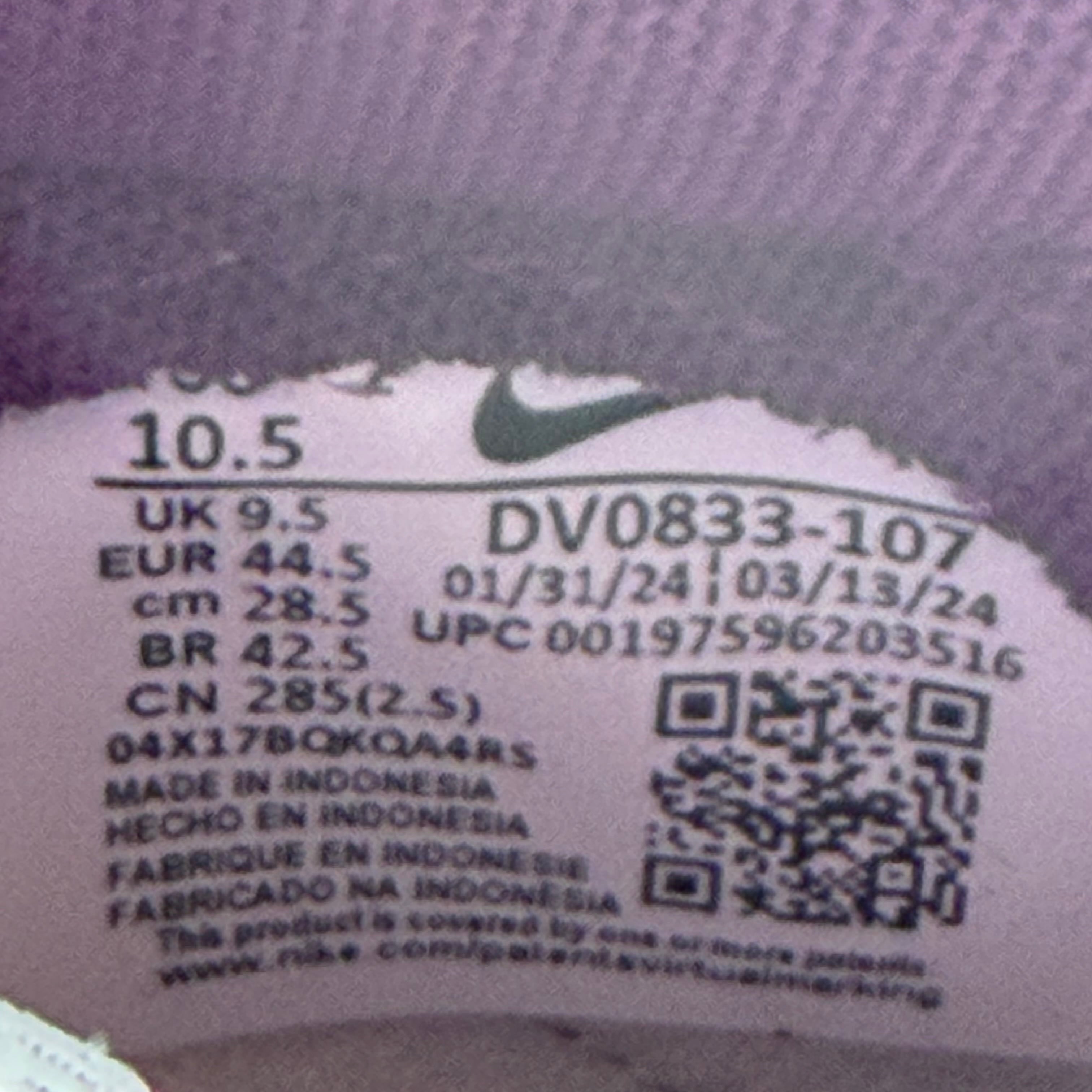 262591 Nike Dunk Low White Viotech