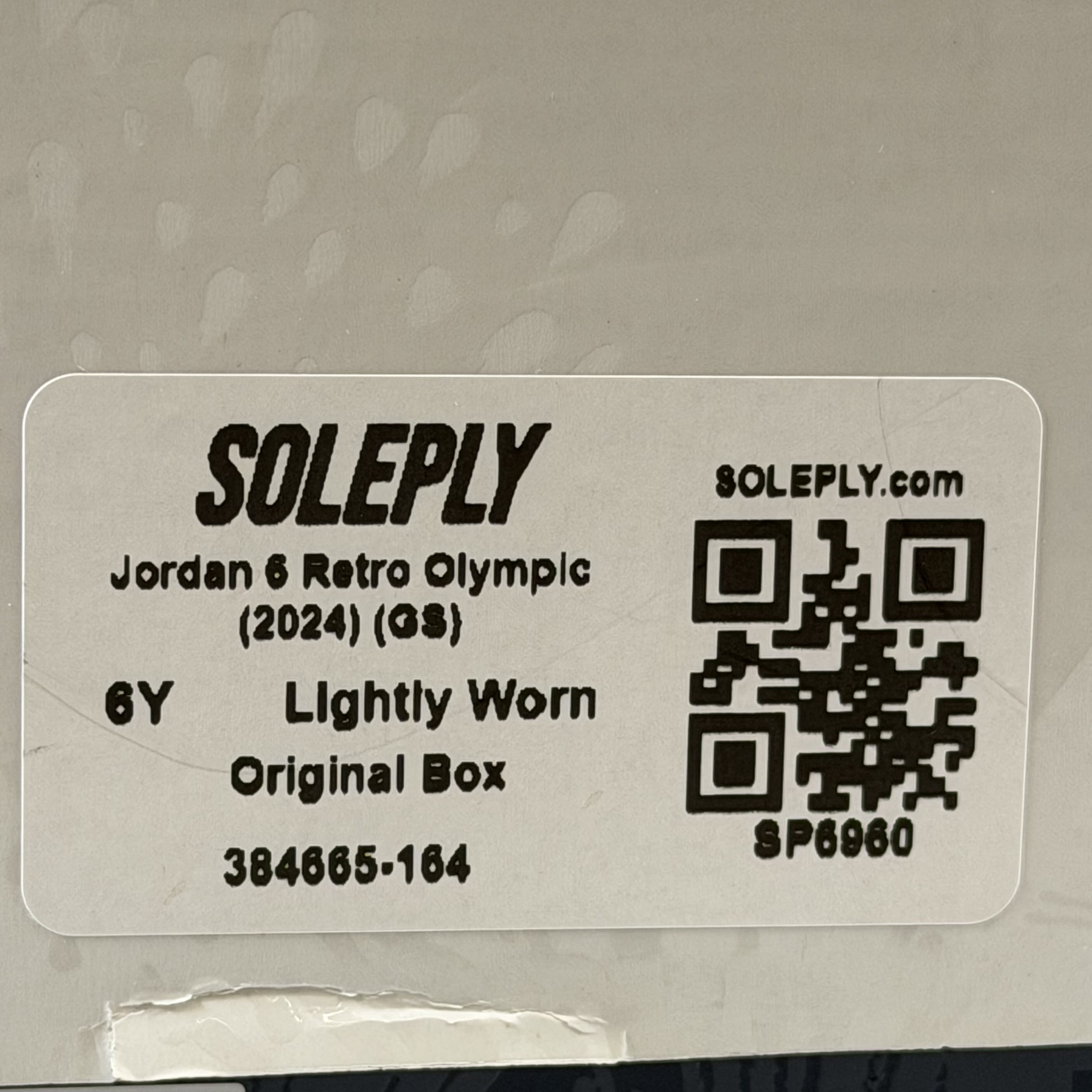 SP6960 Jordan 6 Retro Olympic (2024) (GS)