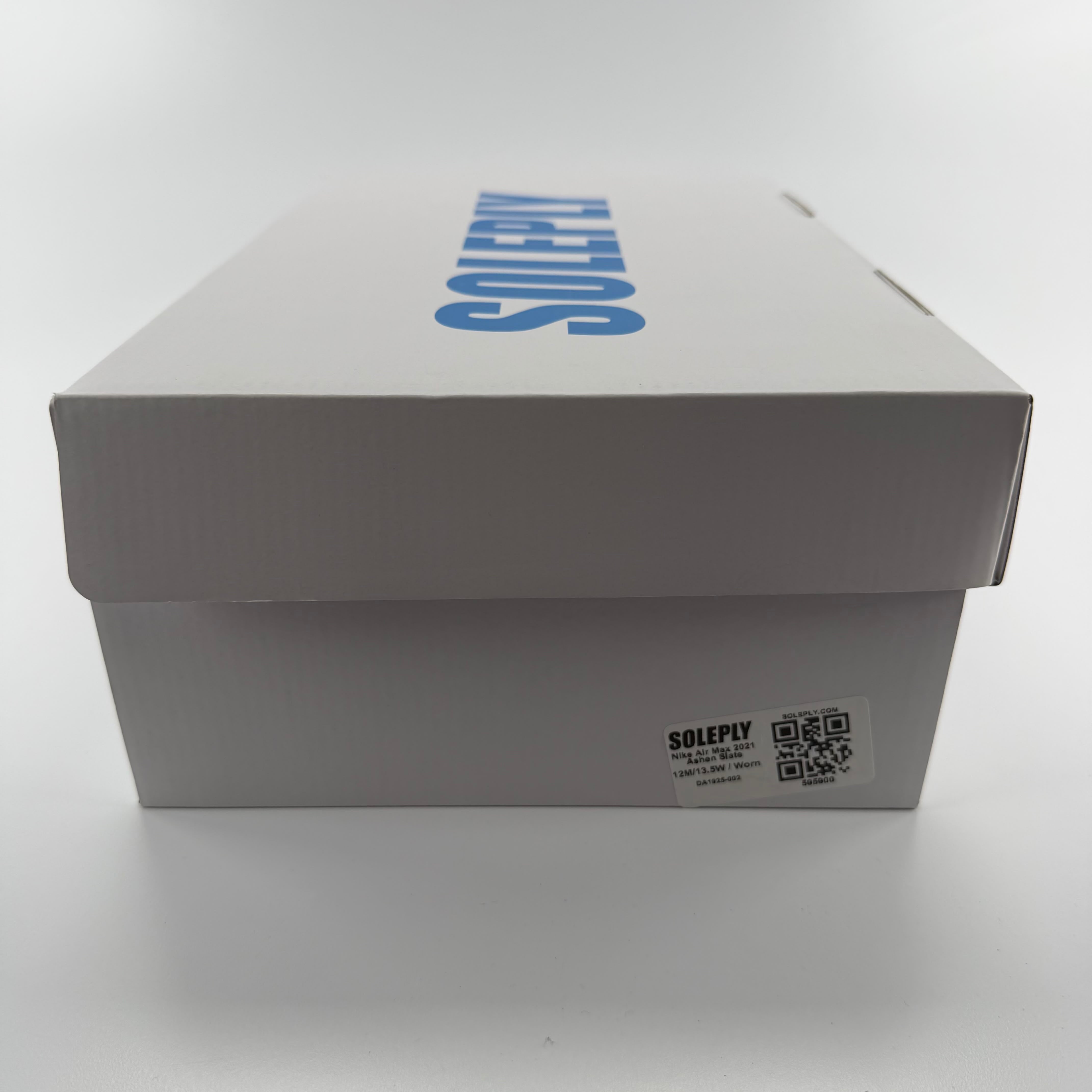 595900 Nike Air Max 2021 Ashen Slate