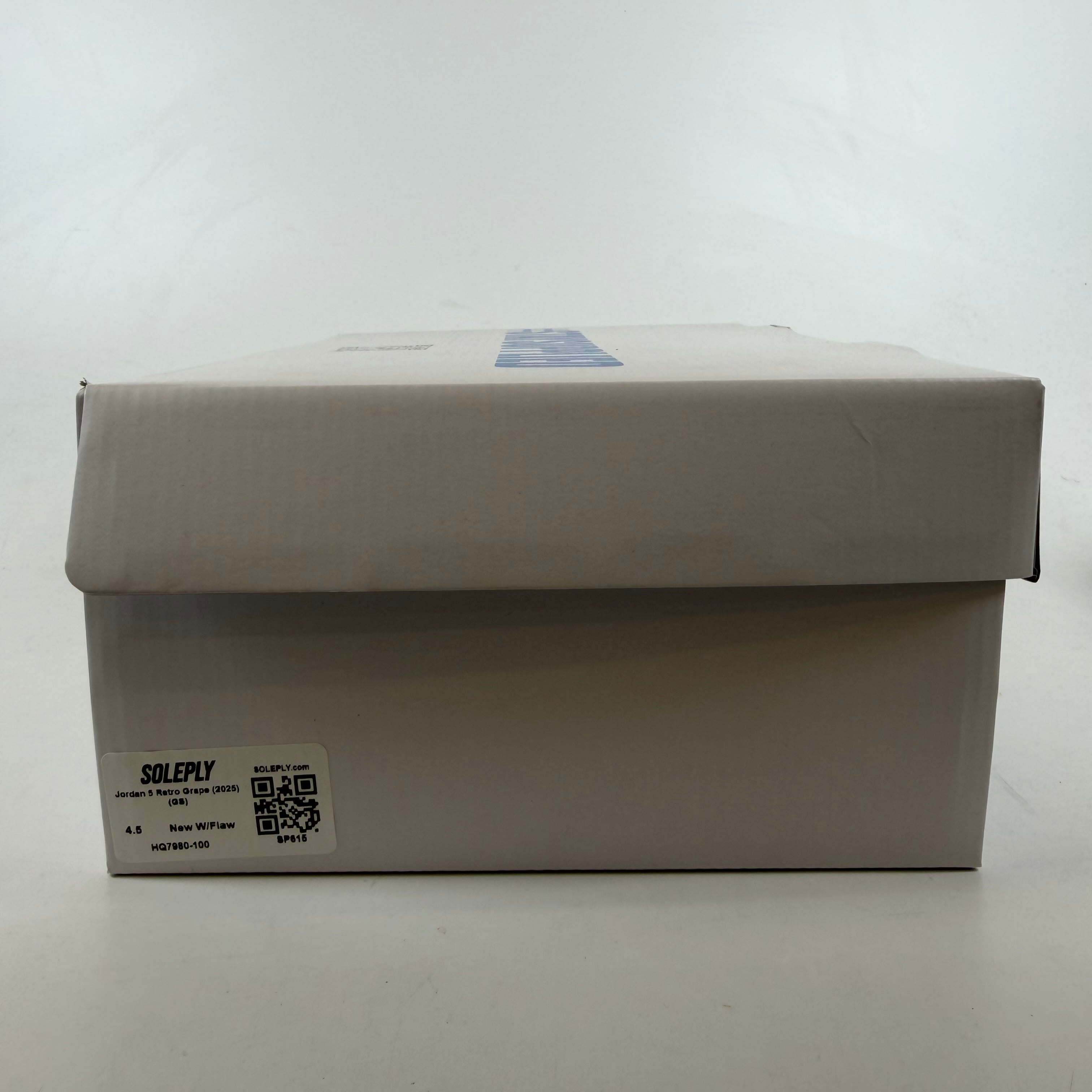 SP615 Jordan 5 Retro Grape (2025) (GS)