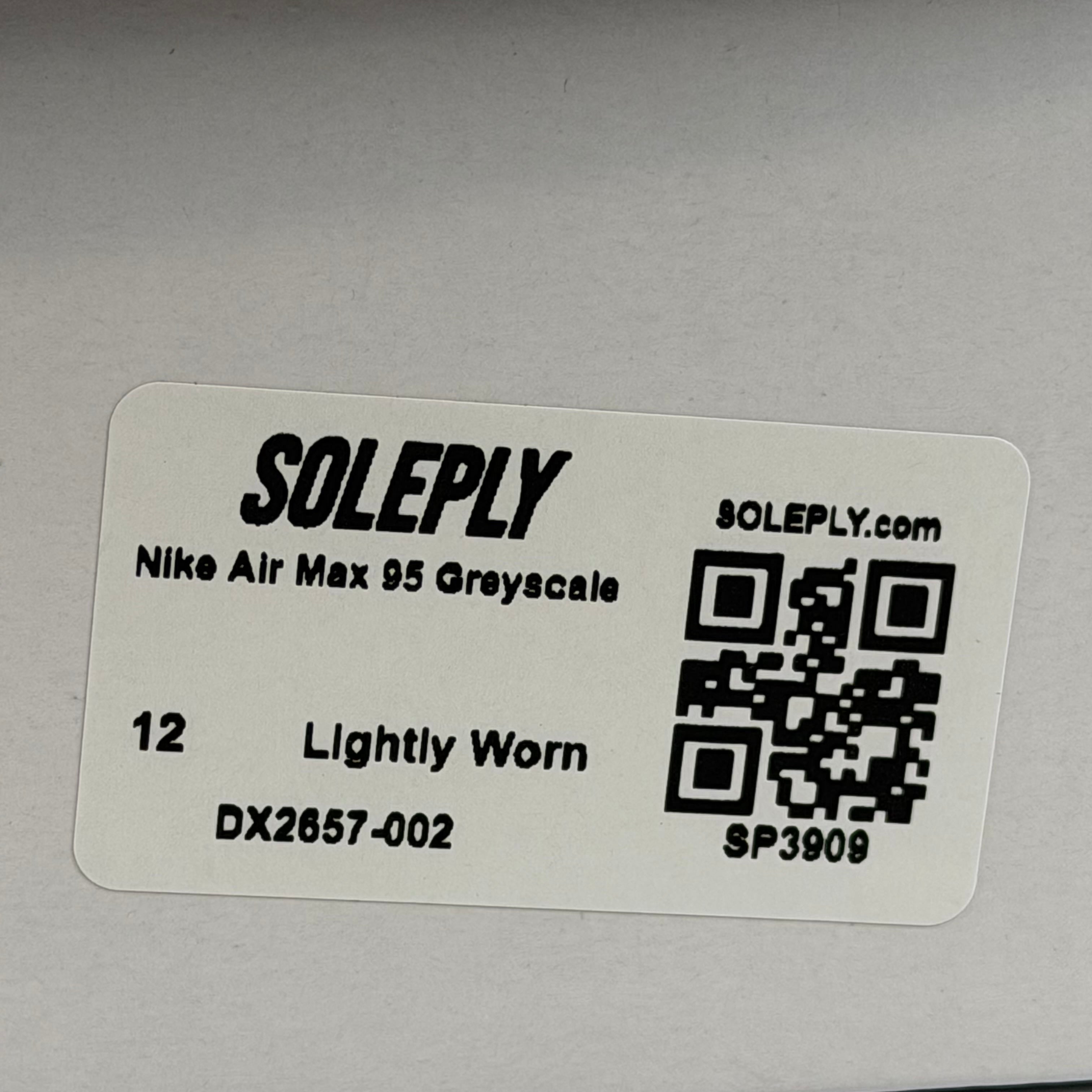 SP3909 Nike Air Max 95 Greyscale