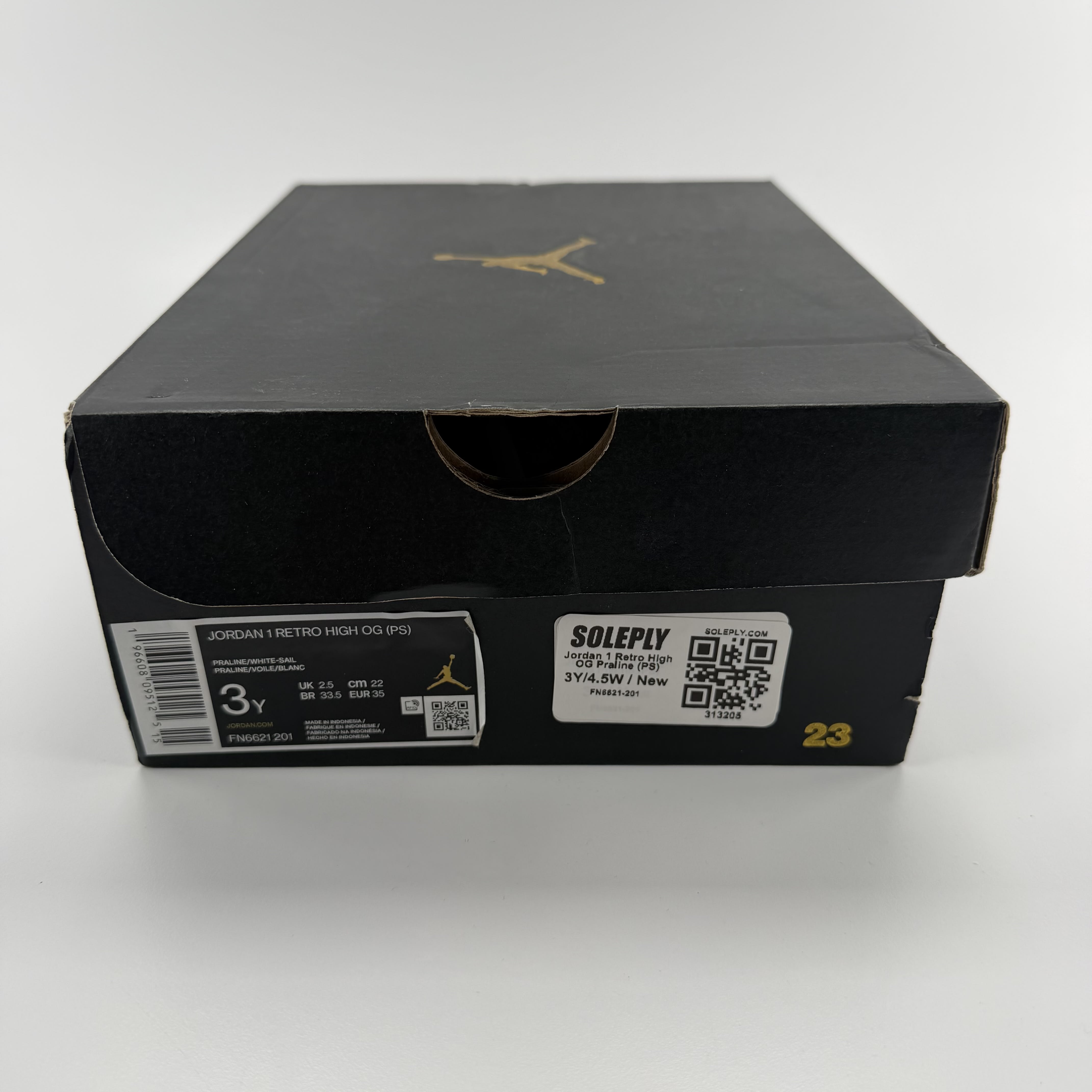 313205 Jordan 1 Retro High OG Praline (PS)