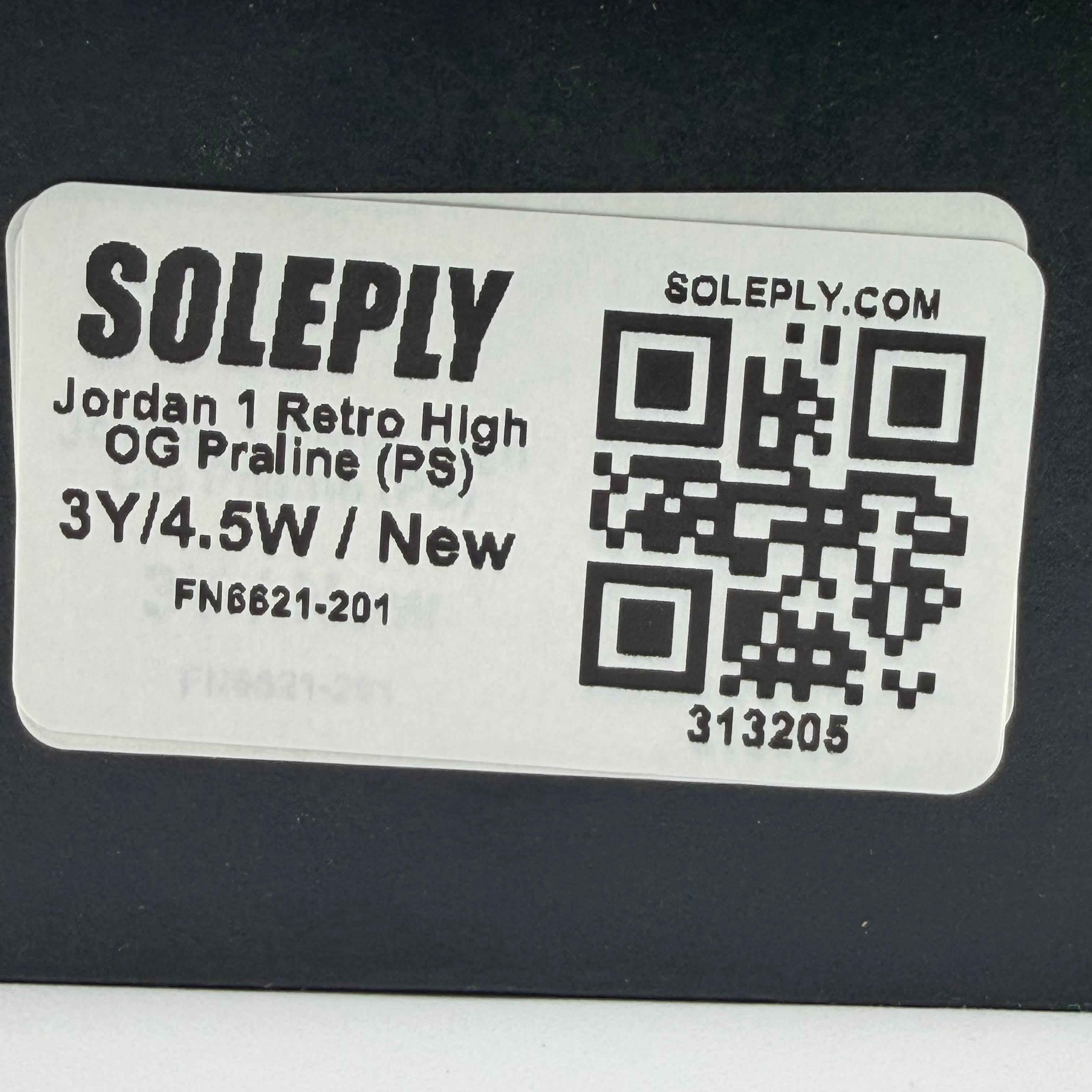 313205 Jordan 1 Retro High OG Praline (PS)