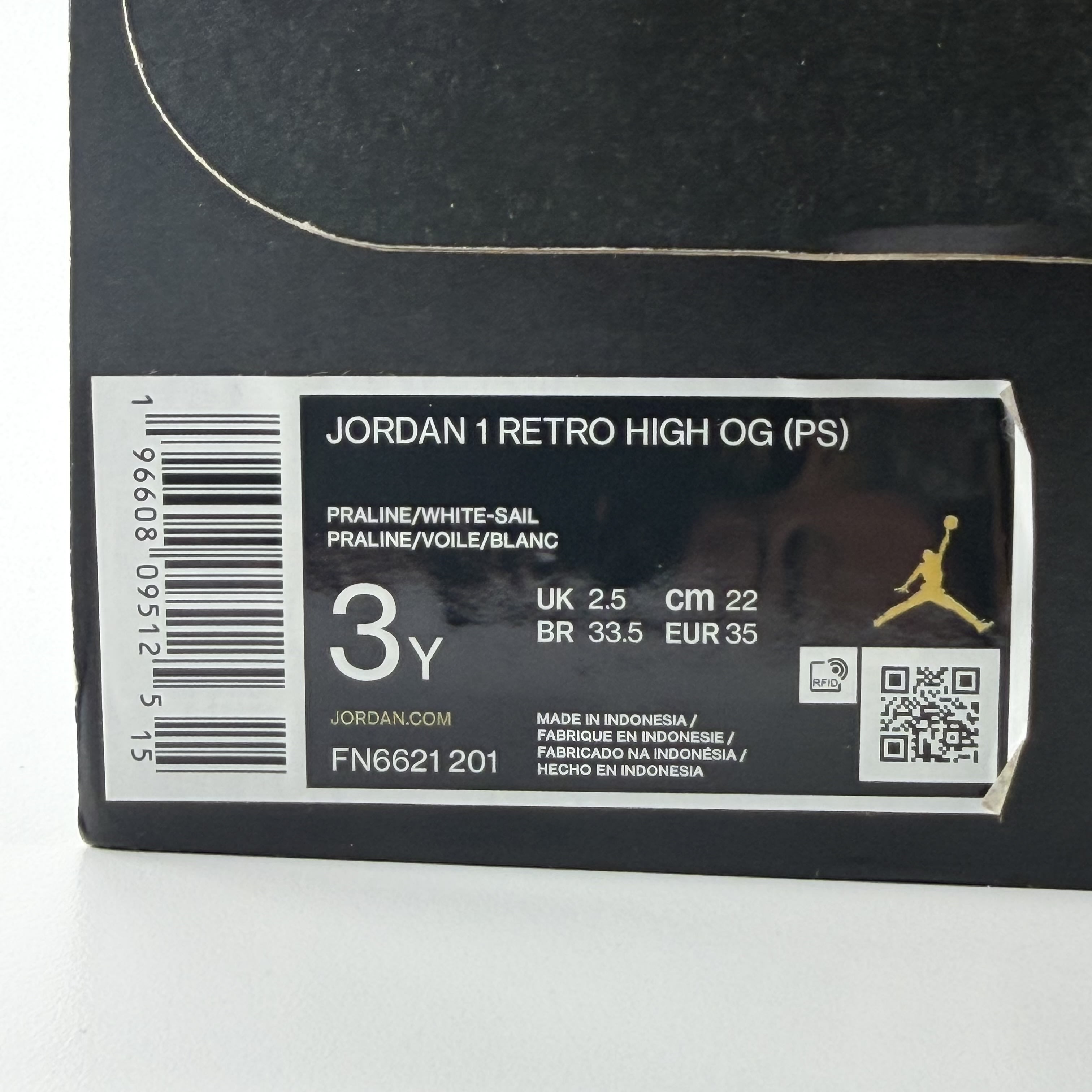 313205 Jordan 1 Retro High OG Praline (PS)