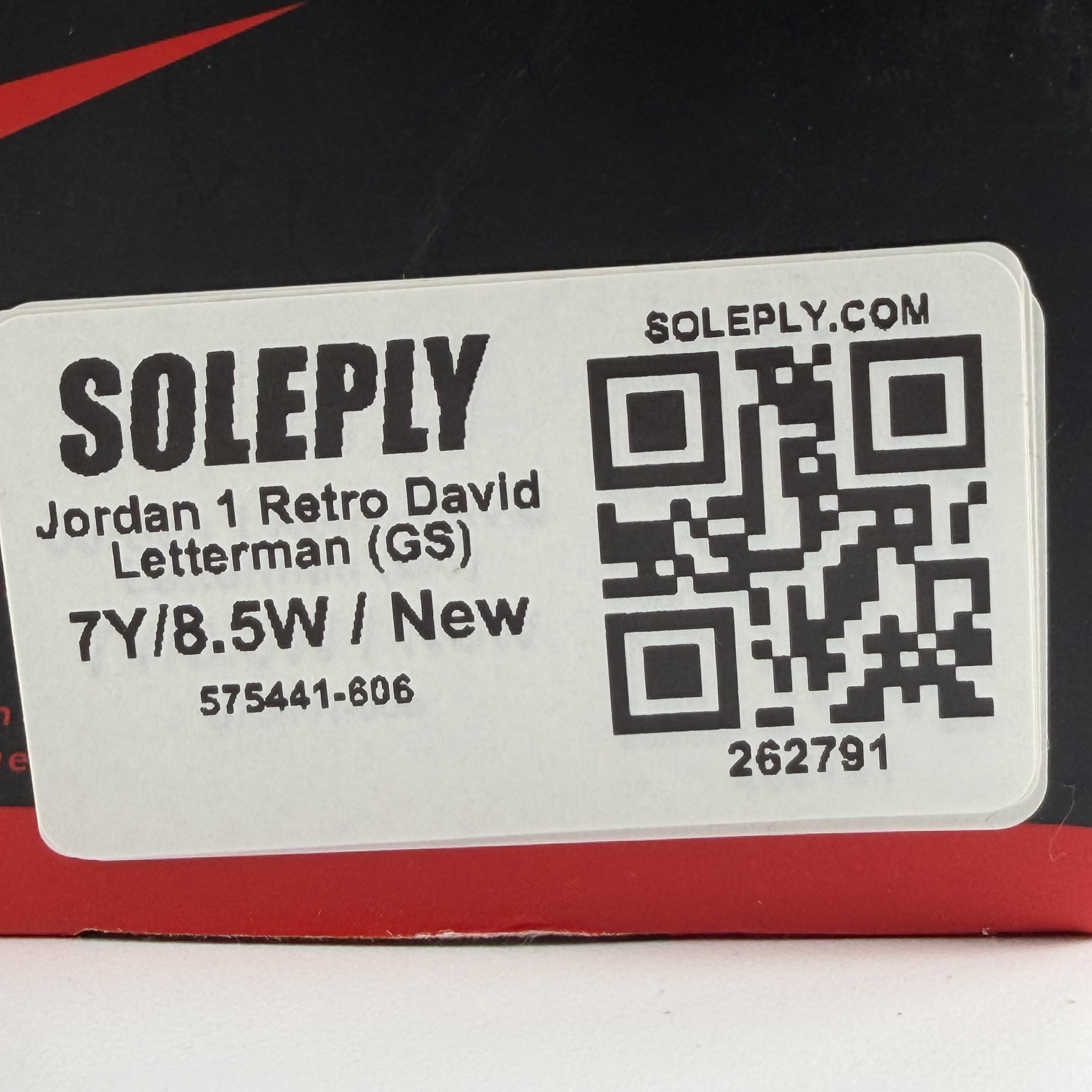 262791 Jordan 1 Retro David Letterman (GS)