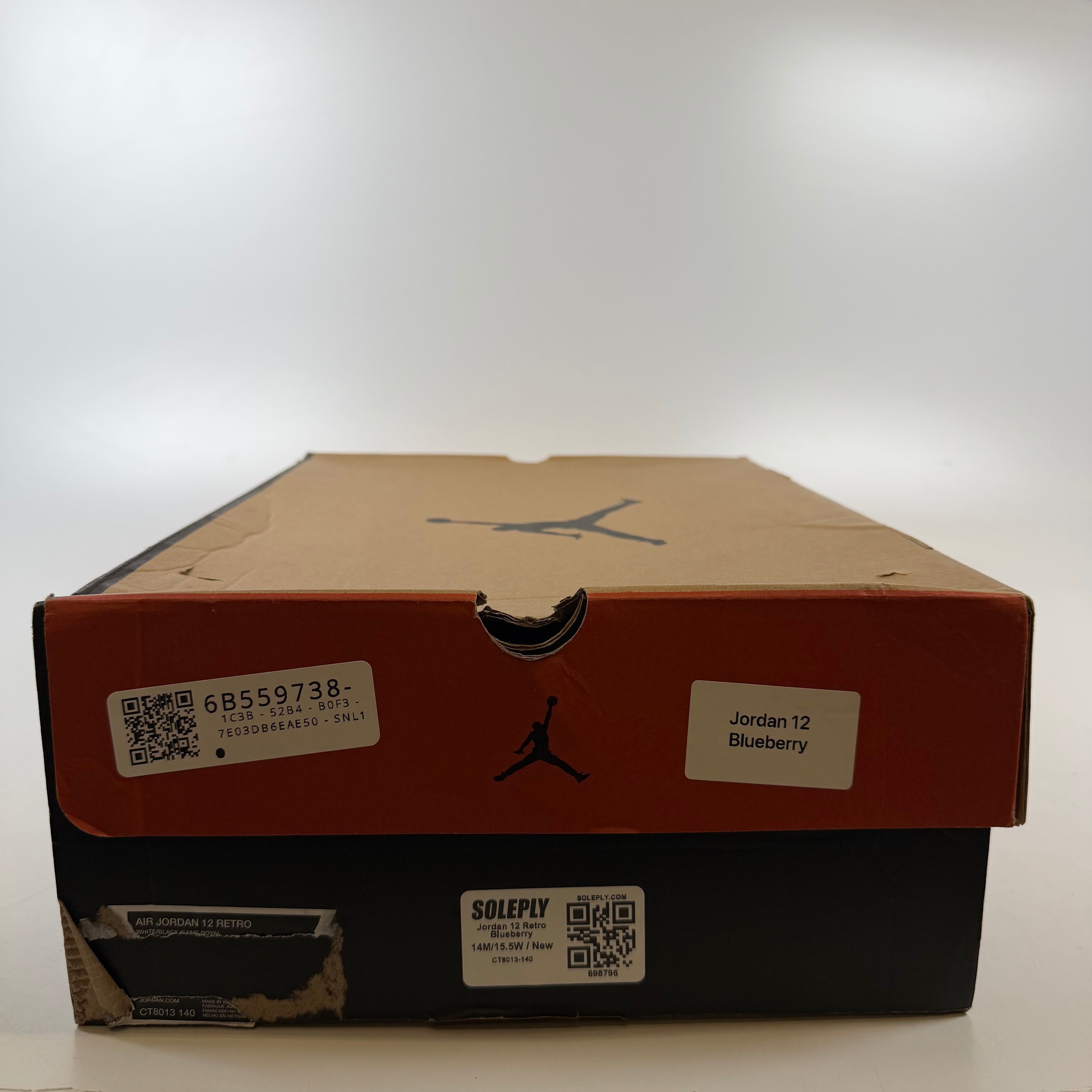 698796 Jordan 12 Retro Blueberry