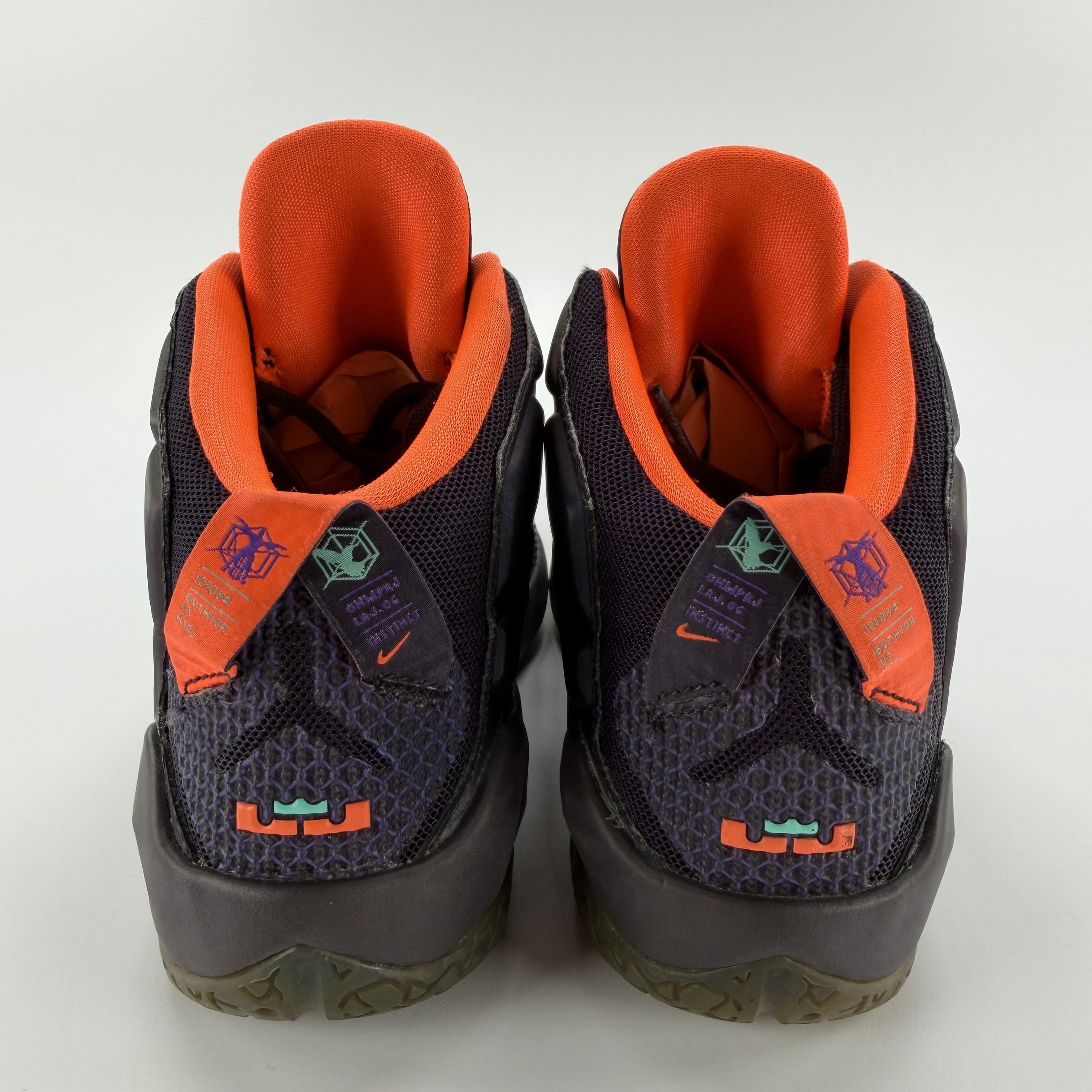 527587 Nike LeBron 12 Instinct (PS)
