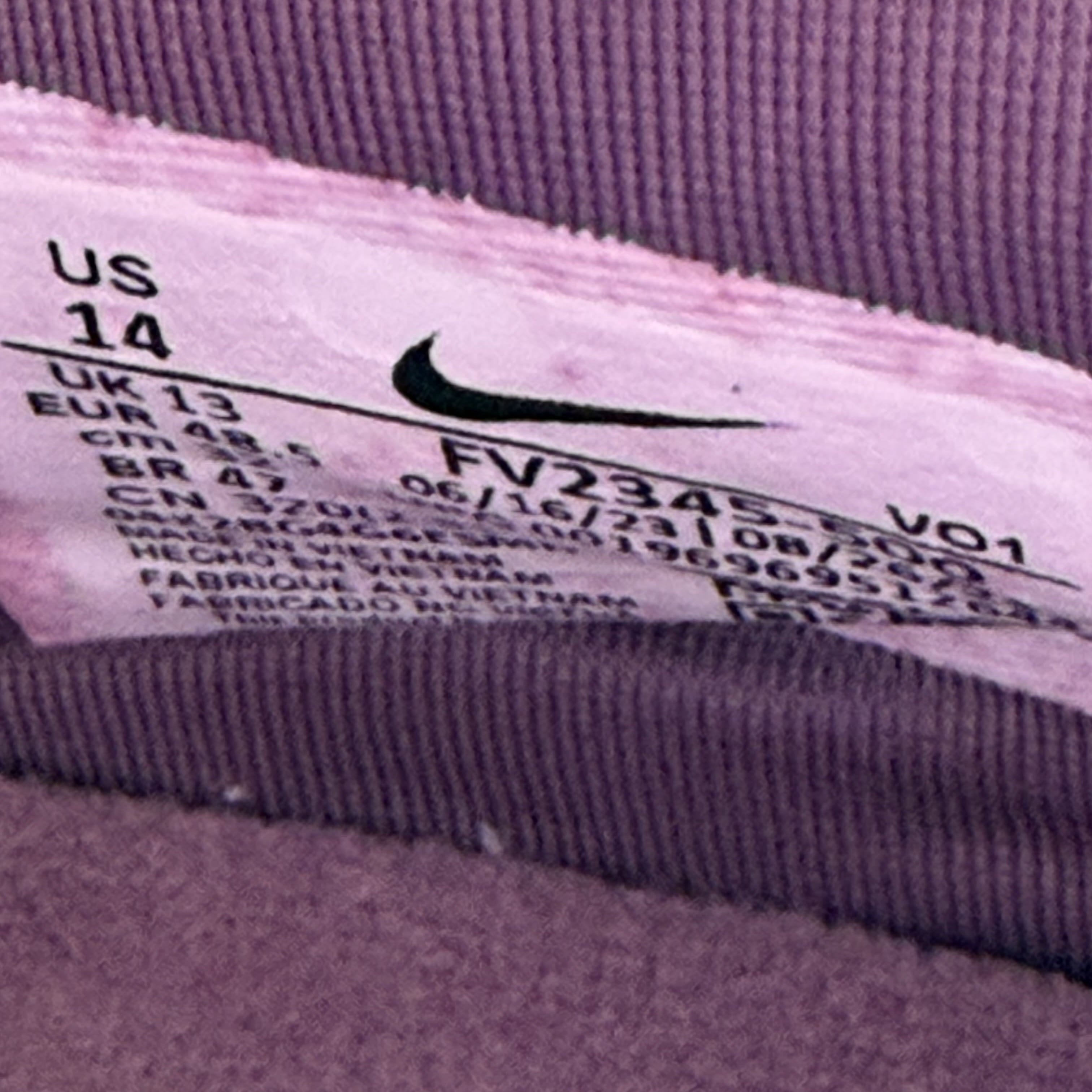 745156 Nike LeBron 21 Purple Rain