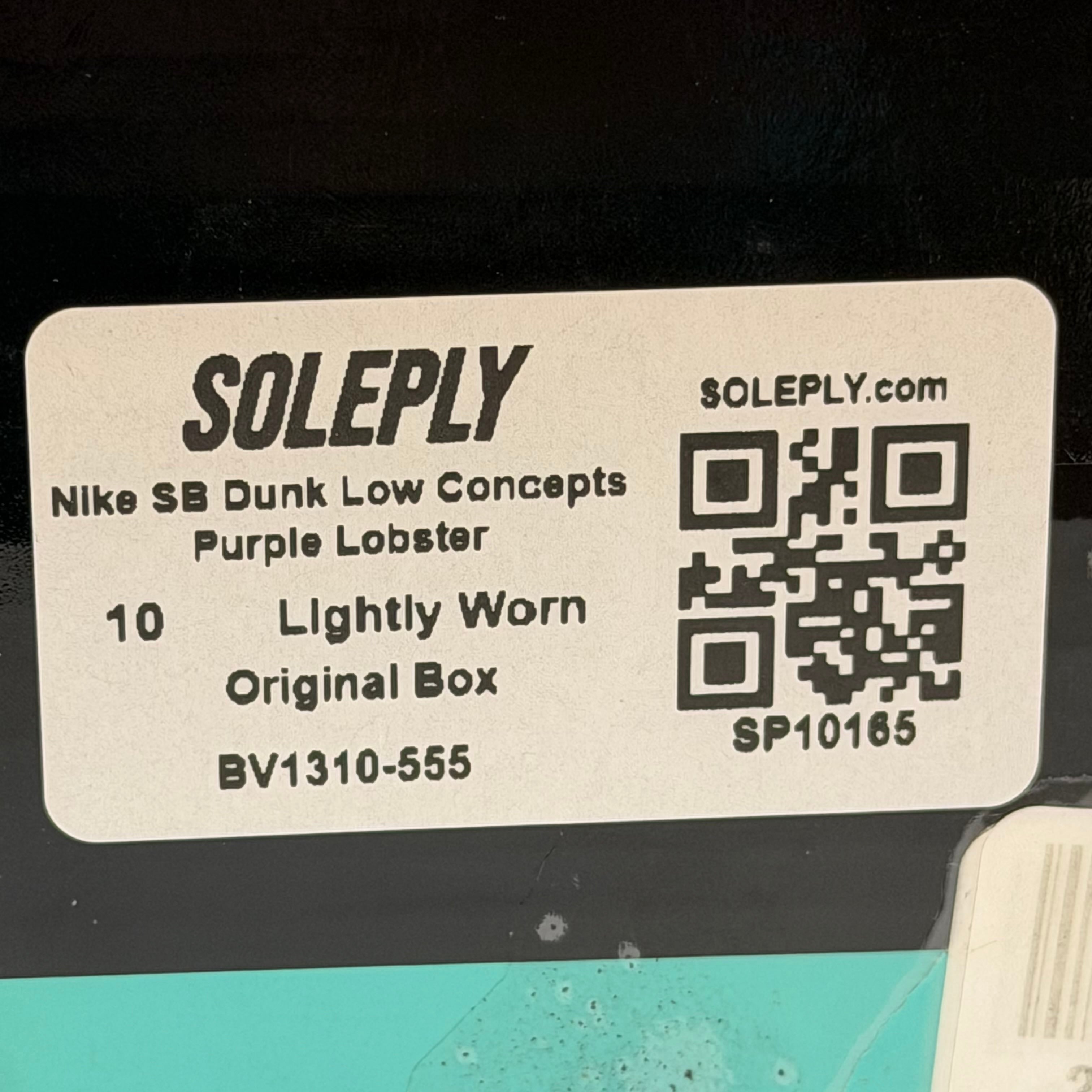 SP10165 Nike SB Dunk Low Concepts Purple Lobster
