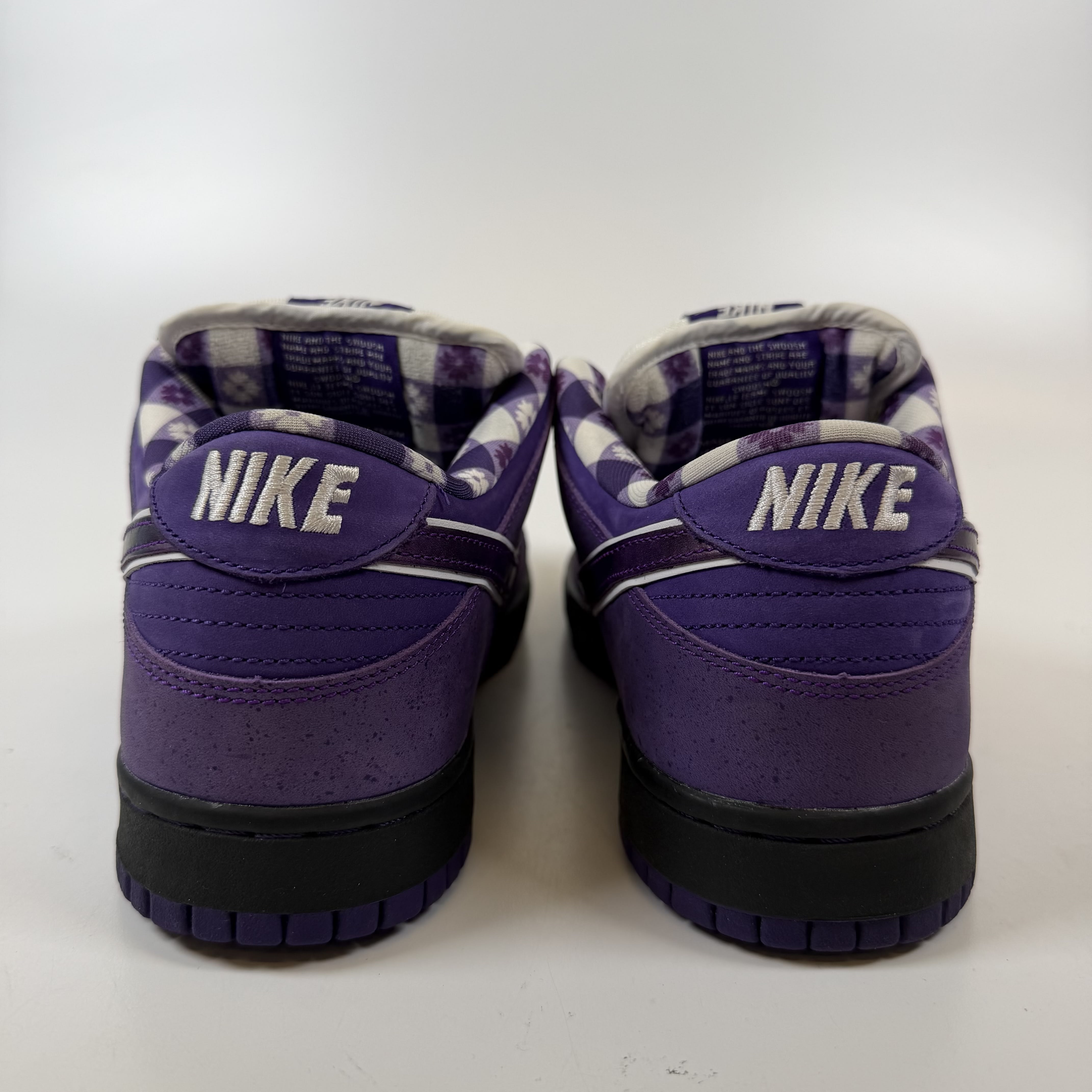 SP10165 Nike SB Dunk Low Concepts Purple Lobster