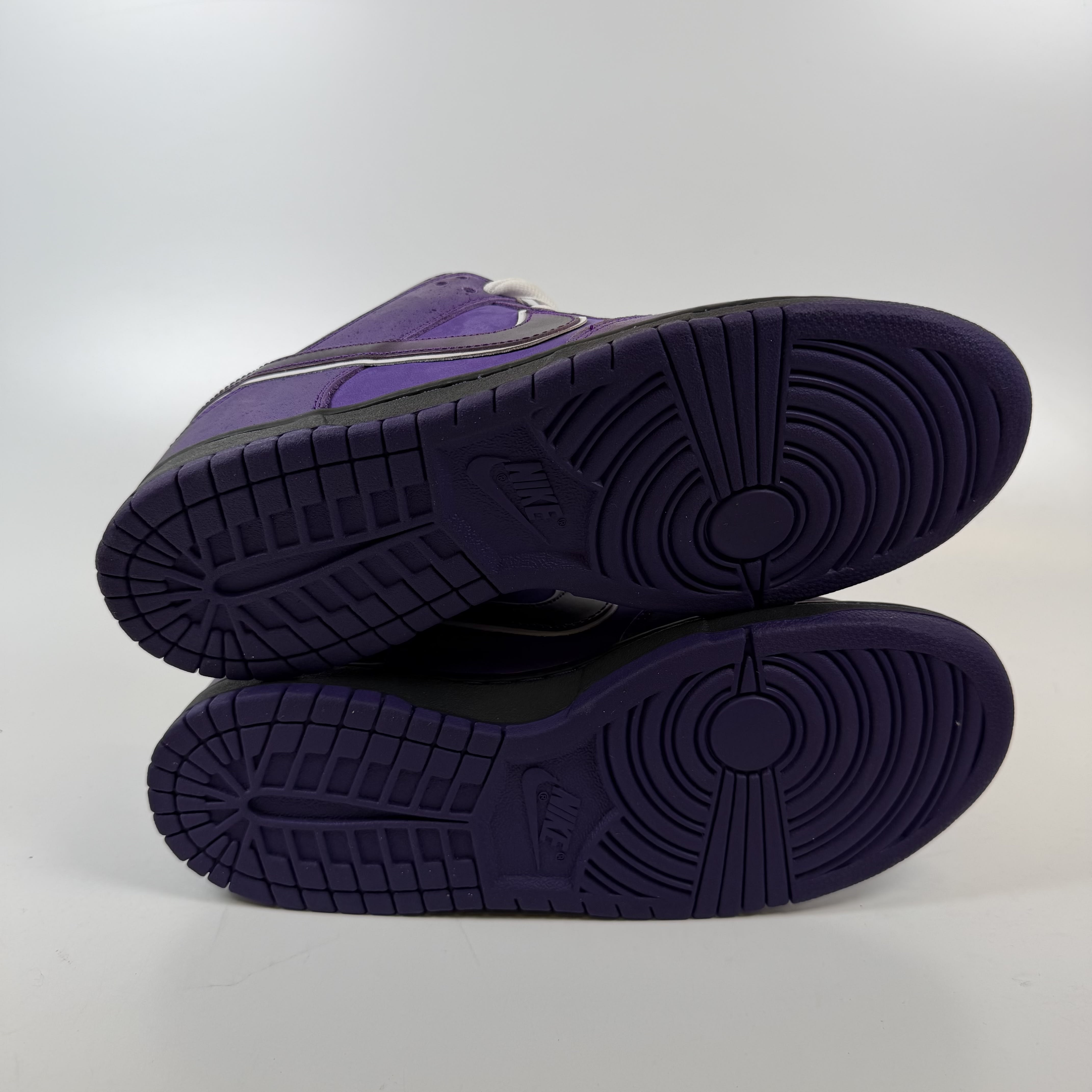 SP10165 Nike SB Dunk Low Concepts Purple Lobster
