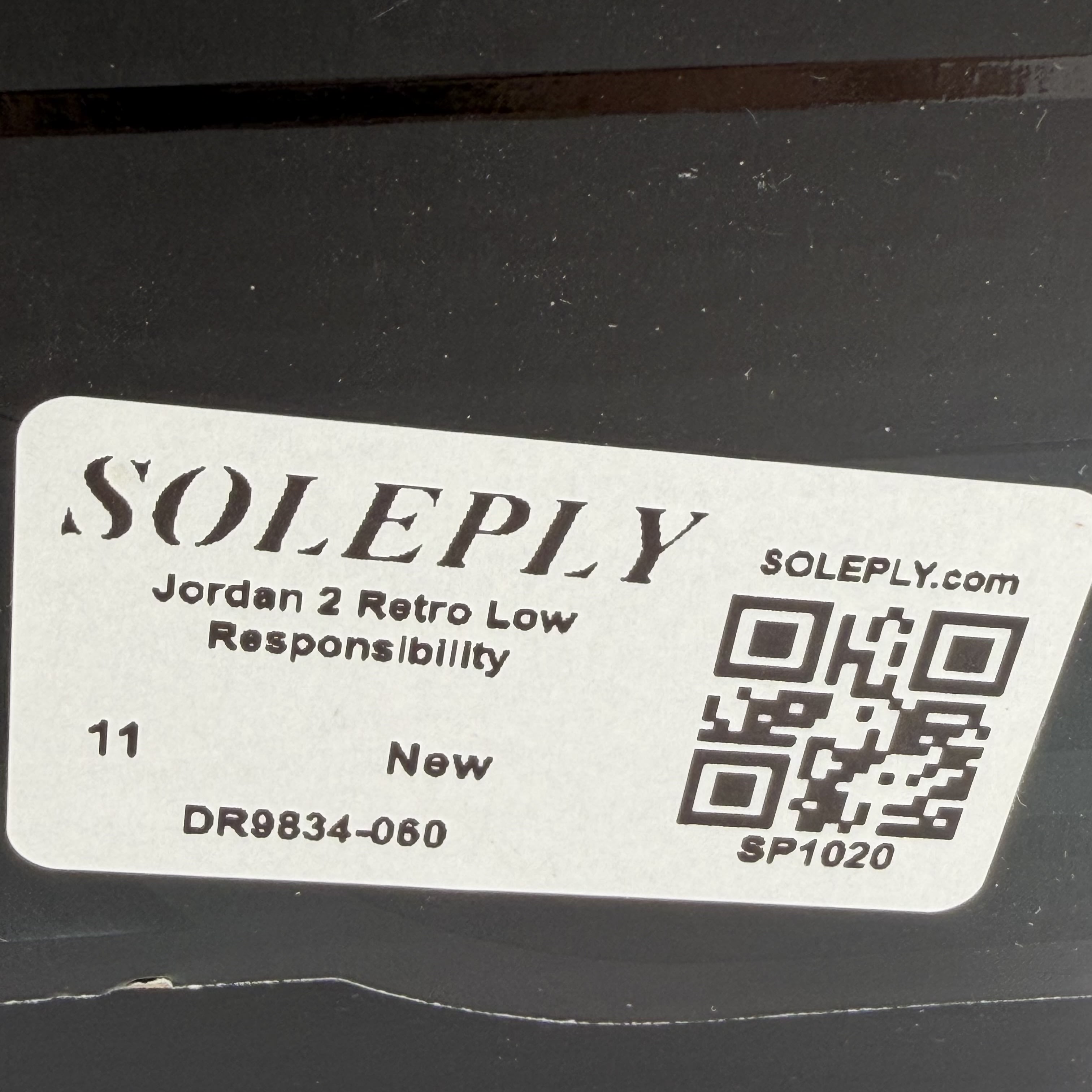 SP1020 Jordan 2 Retro Low Responsibility