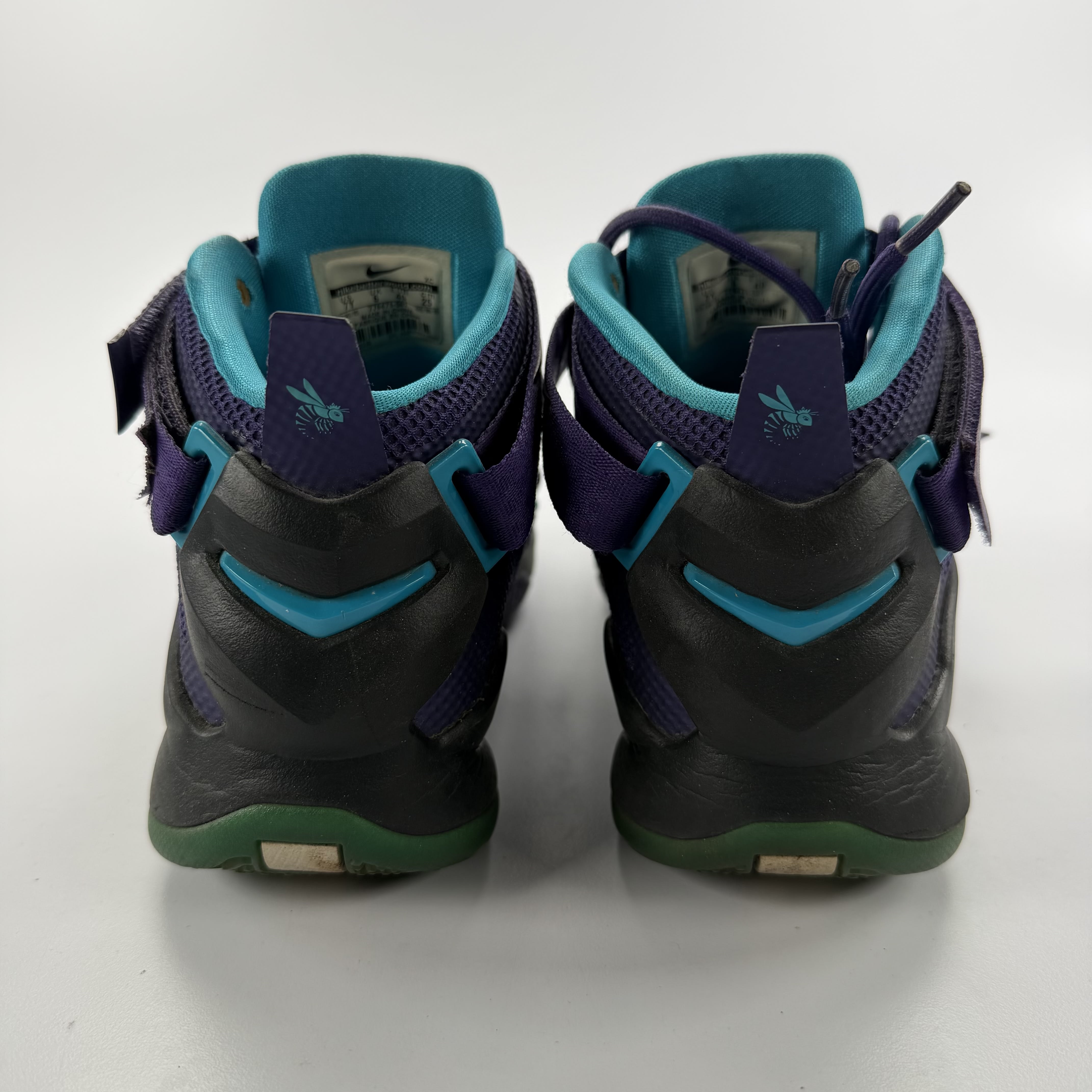 SP5766 Nike LeBron Soldier 9 GS 'Charlotte Hornets'