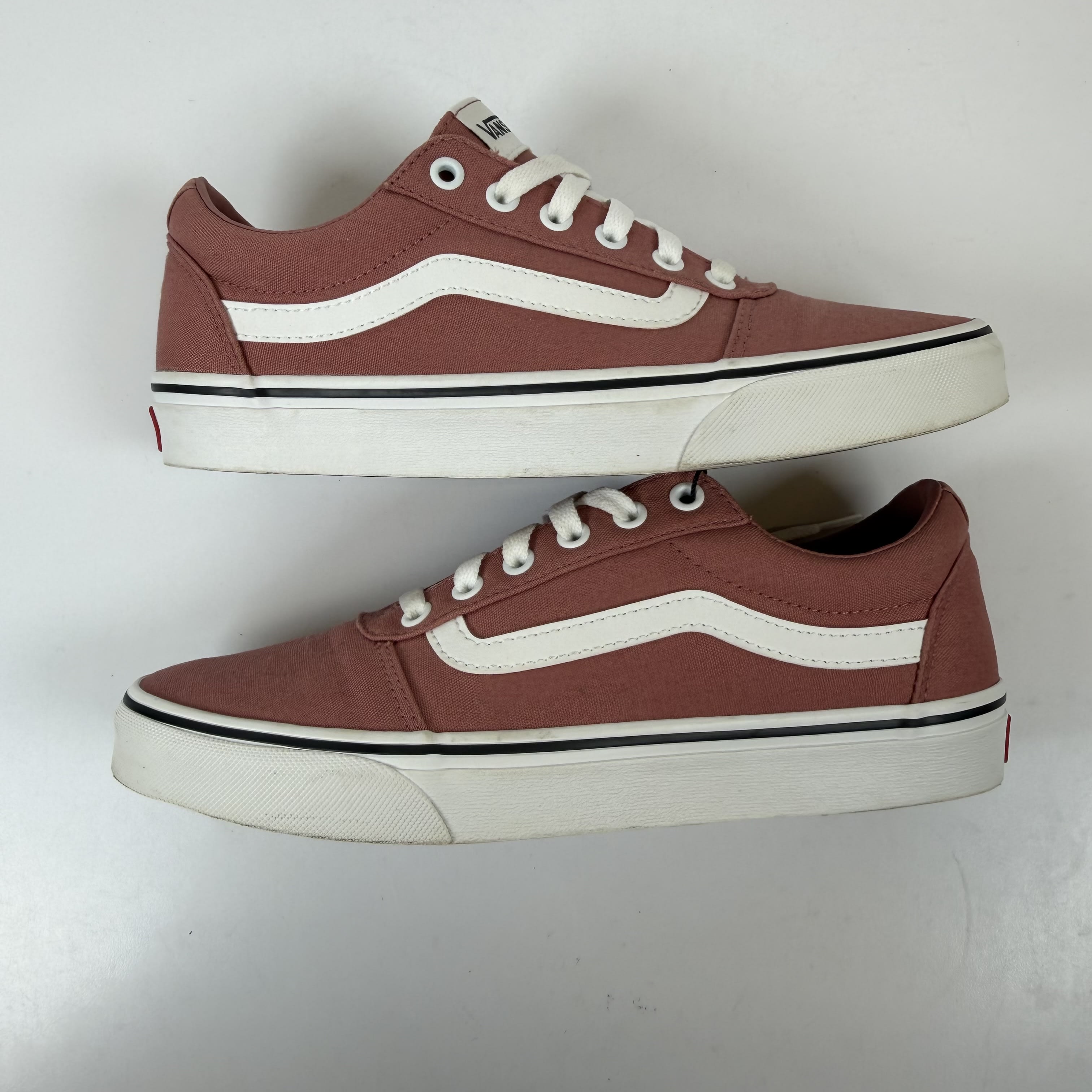 SP10231 Vans Ward Canvas Rose