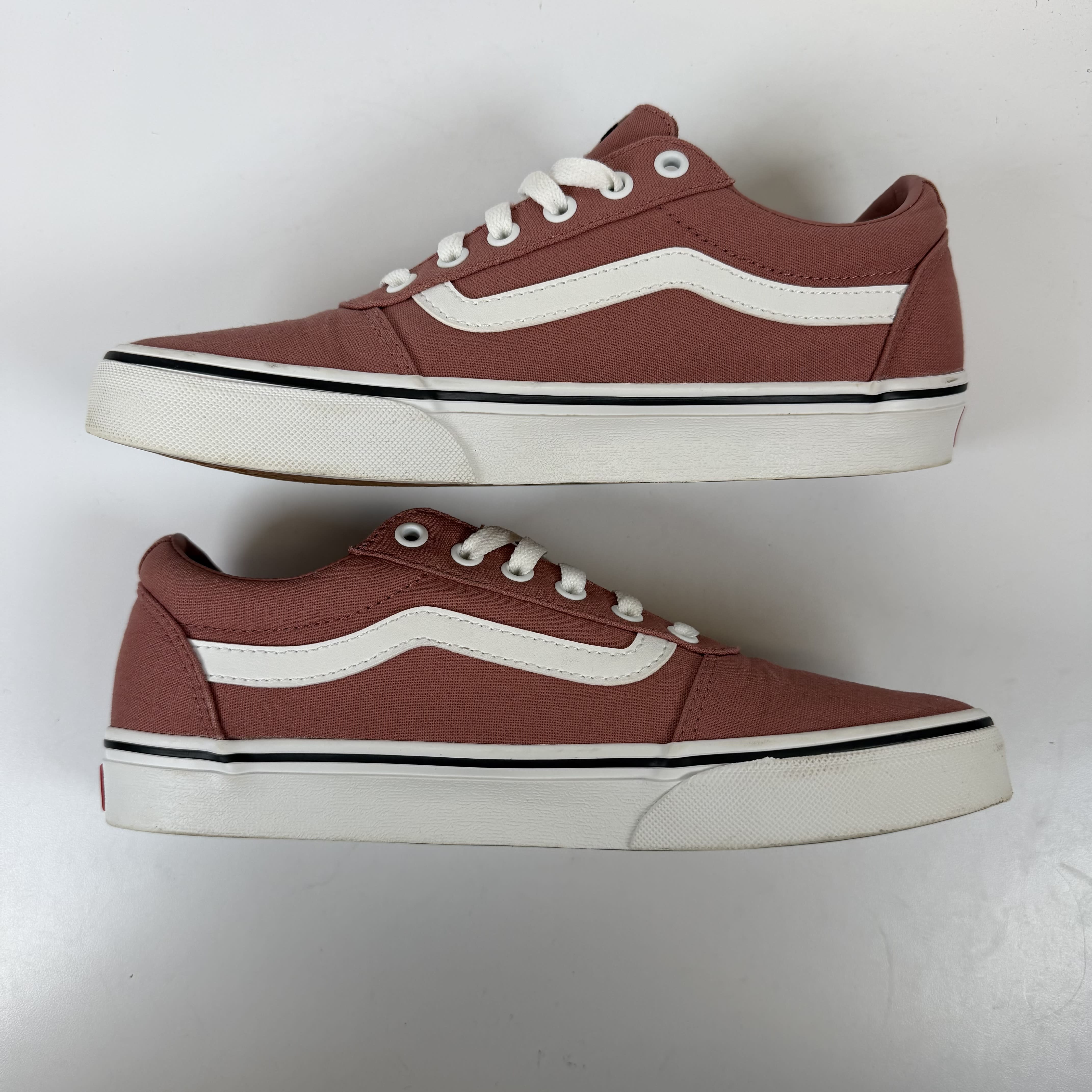 SP10231 Vans Ward Canvas Rose