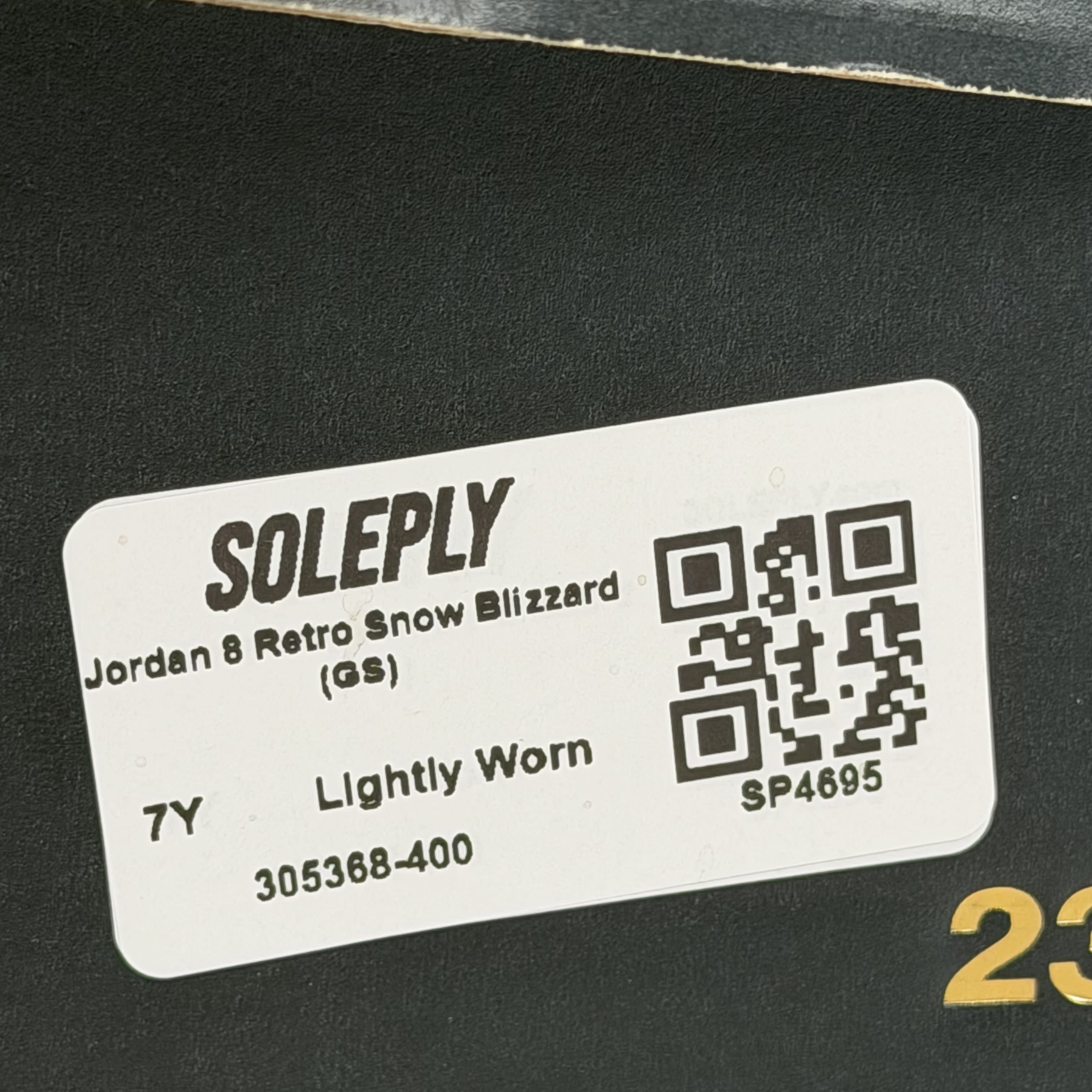 SP4695 Jordan 8 Retro Snow Blizzard (GS)