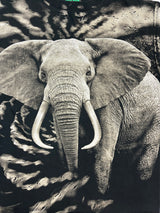 (90s) Elephant All Over Print Animal T-Shirt